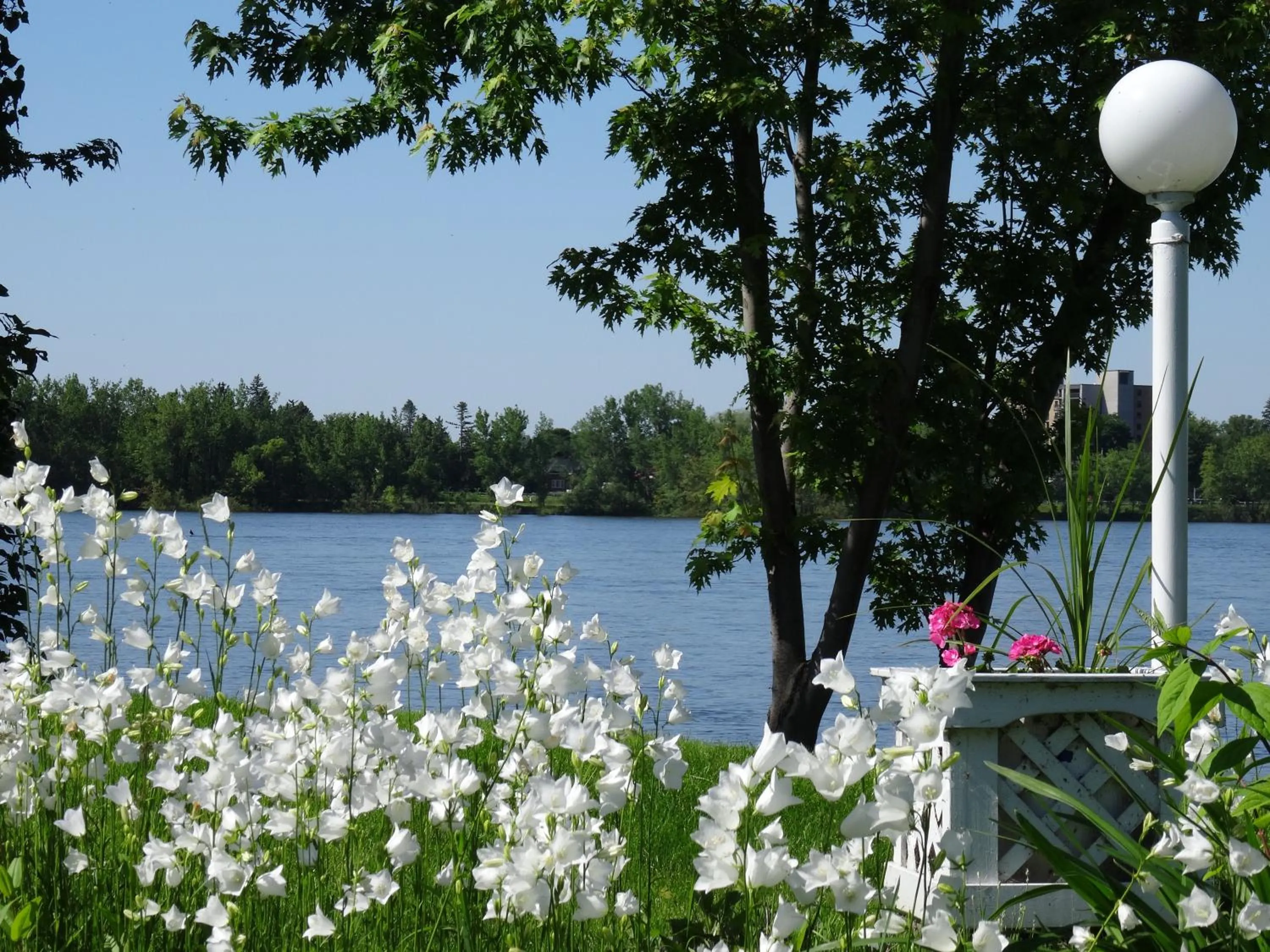 Area and facilities in Motel Belle Riviere