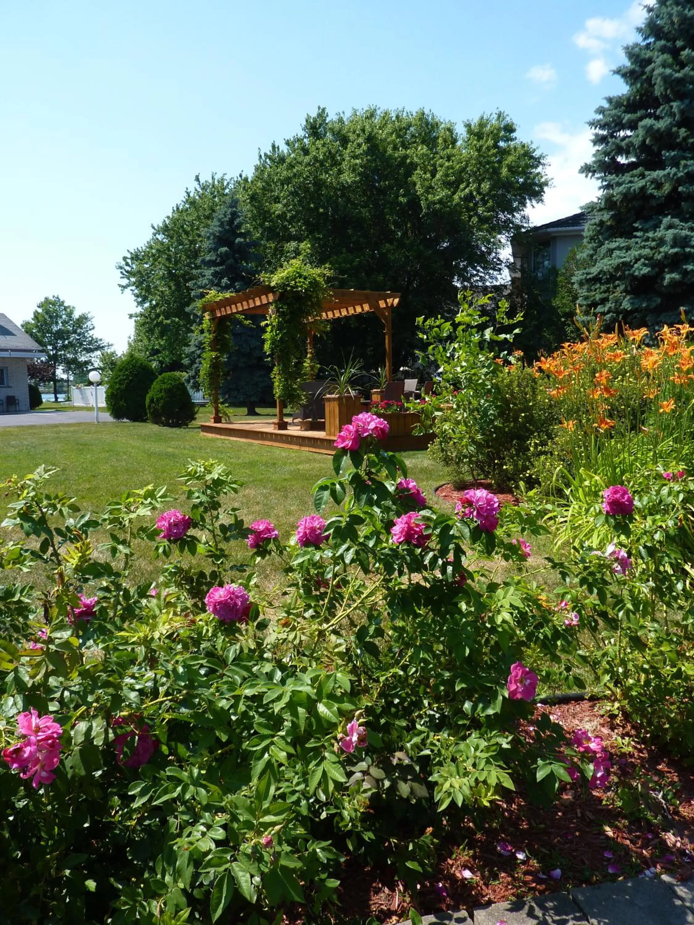 Garden in Motel Belle Riviere