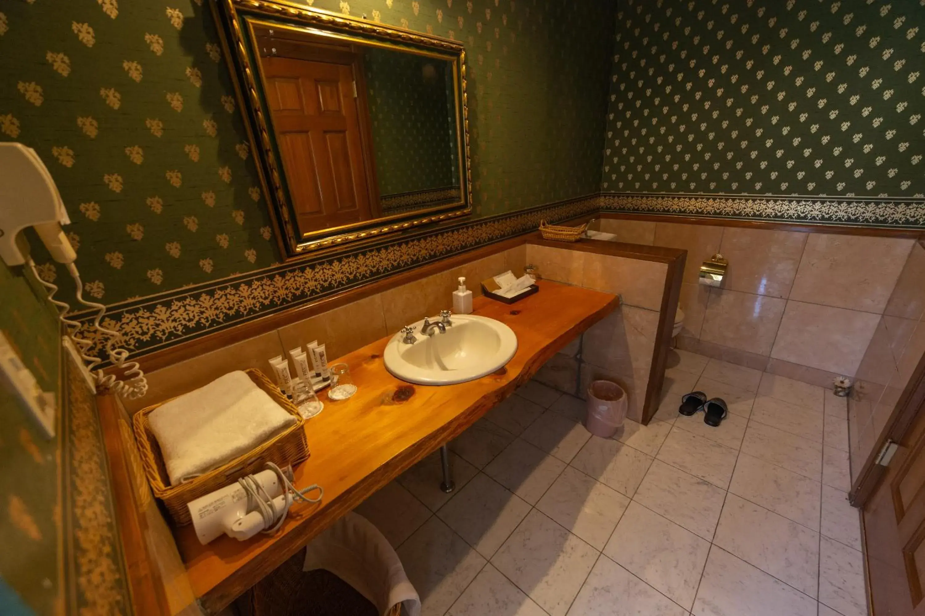 Twin Room - single occupancy - Annex (2F) in Minami Aso Luna Observatory Auberge Mori no Atelier Twin Room - single occupancy - Annex (2F) in Minami Aso Luna Observatory Auberge Mori no Atelier