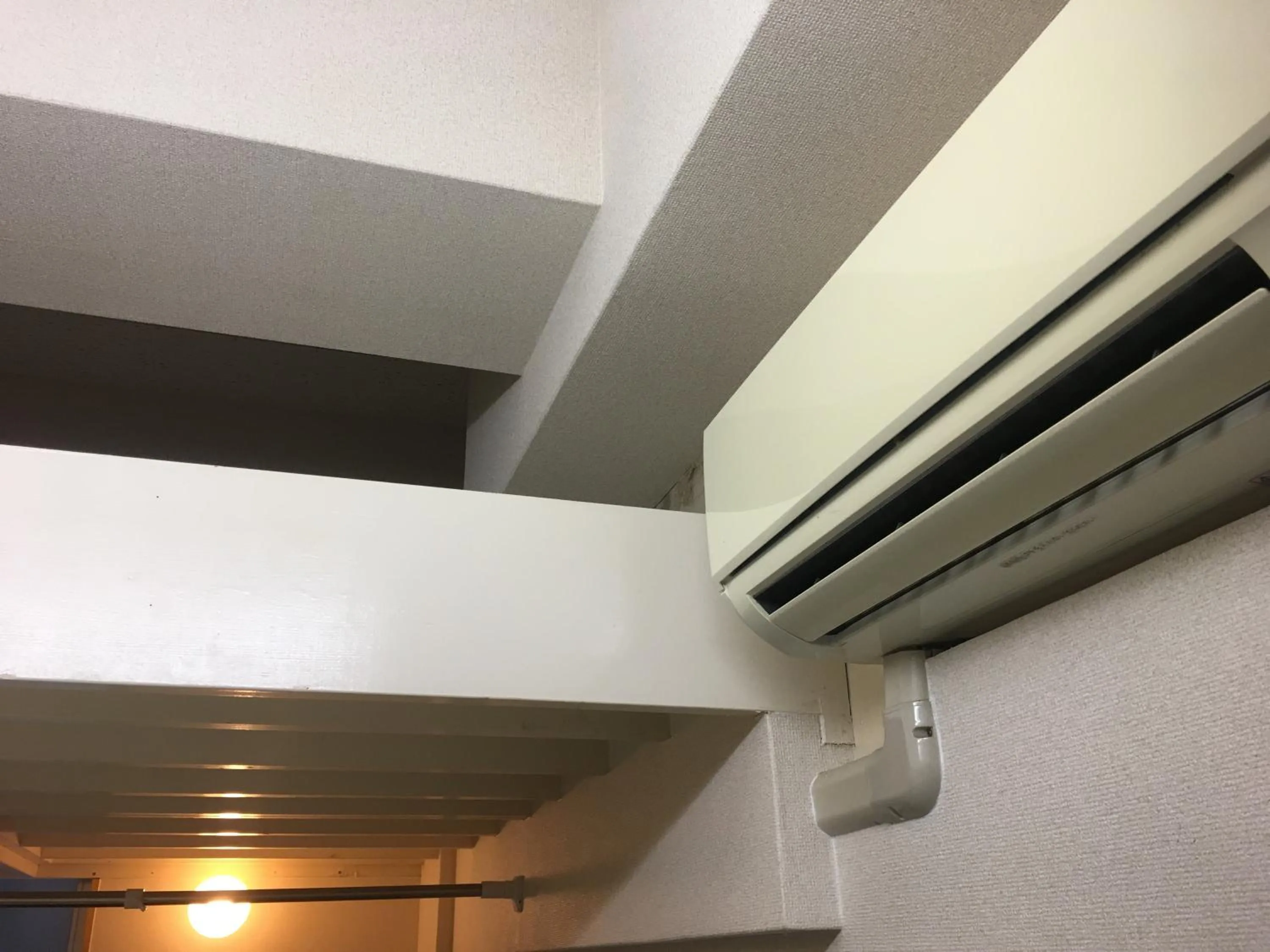 Area and facilities in Kagoshima Little Asia