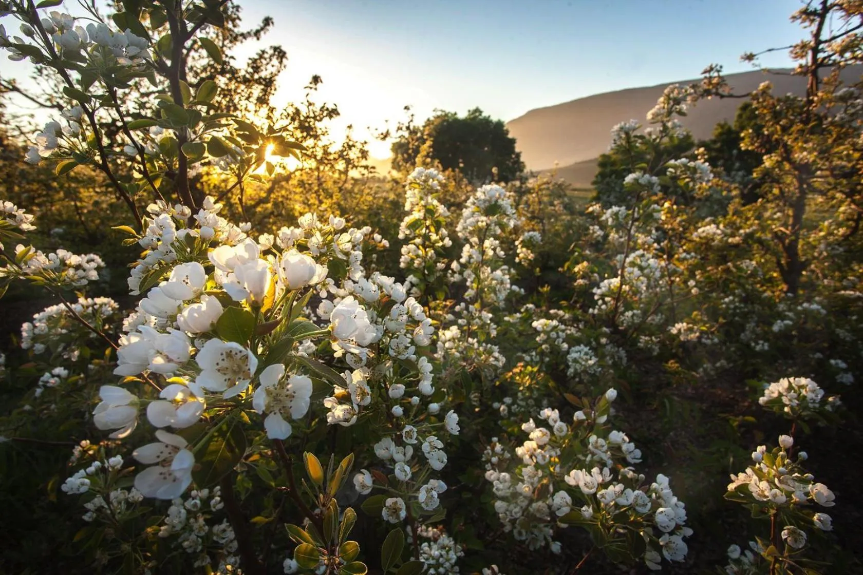 Natural landscape in Lentelus Farmstay
