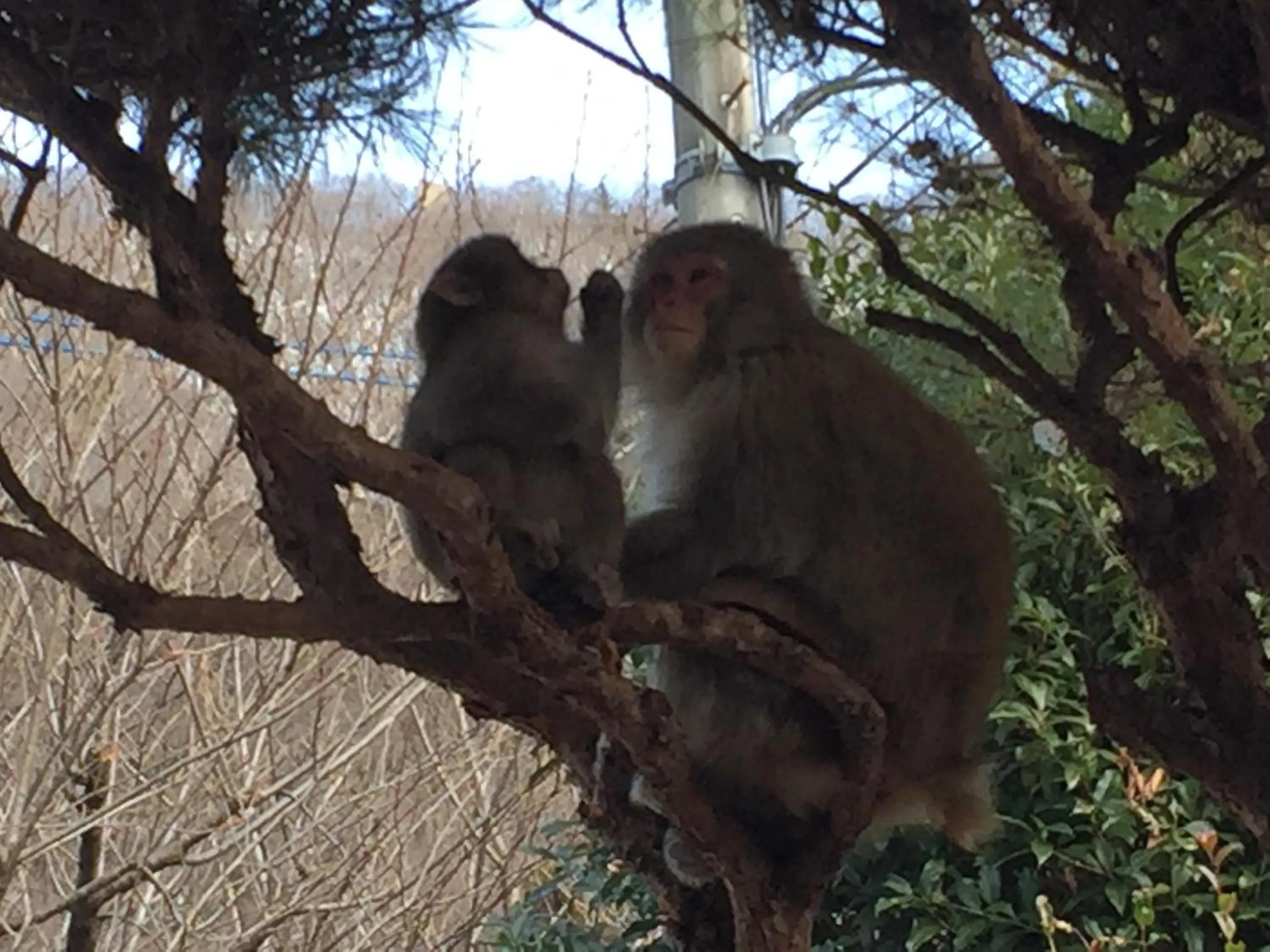 Neighbourhood in kinugawaonsen Fukumatsu