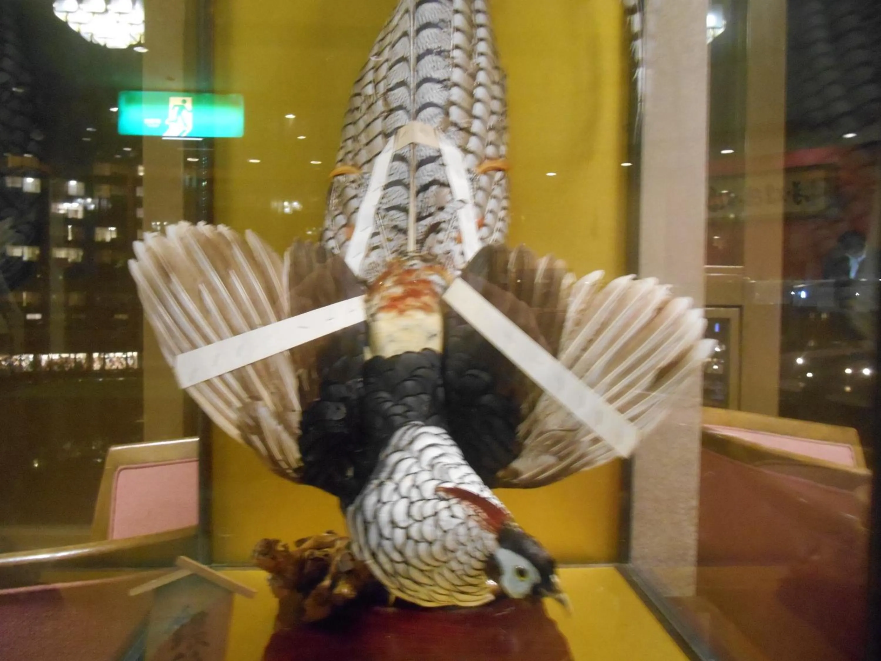 Other in kinugawaonsen Fukumatsu