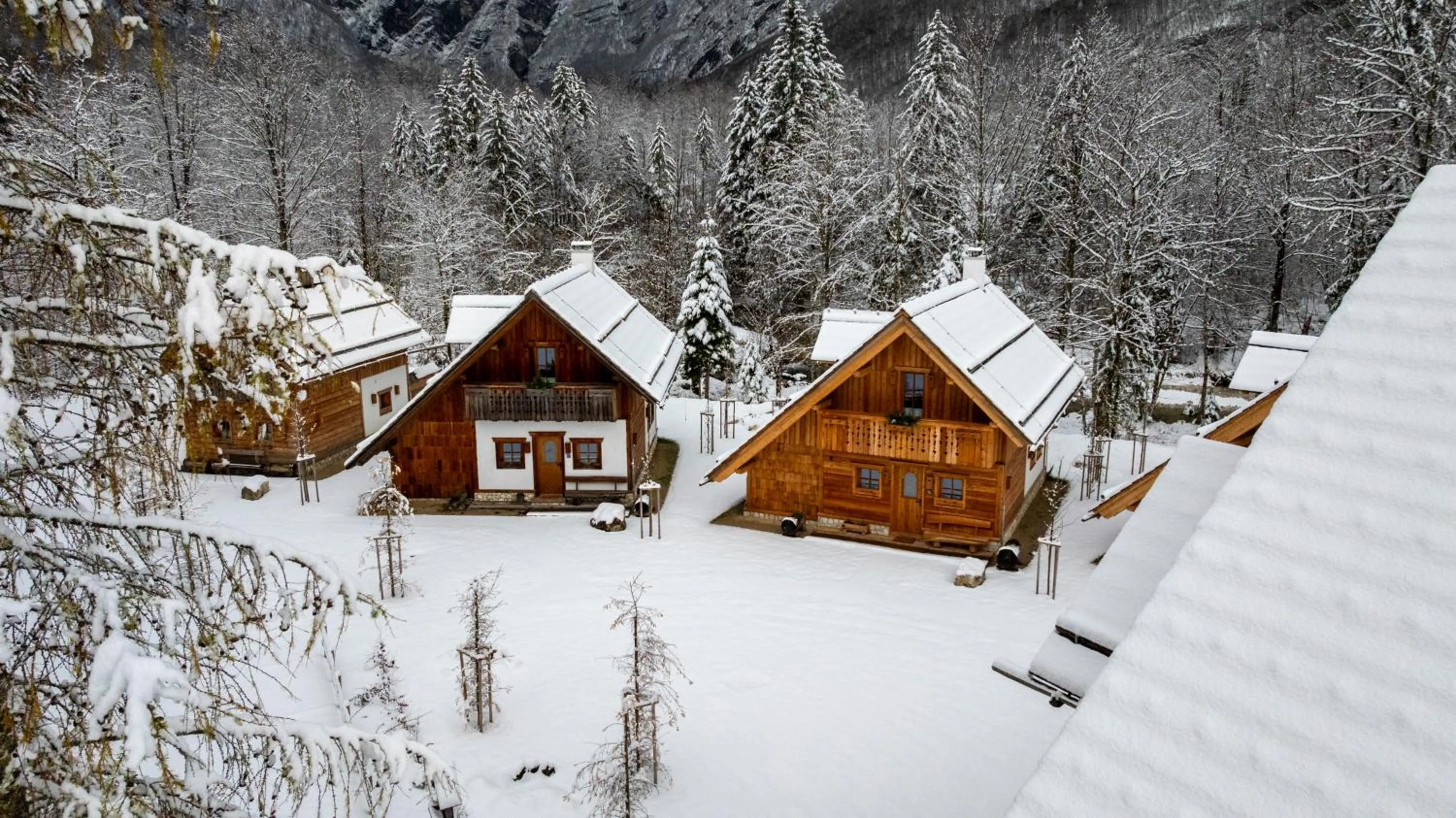 Property building in ALPIK Chalets - Bohinj