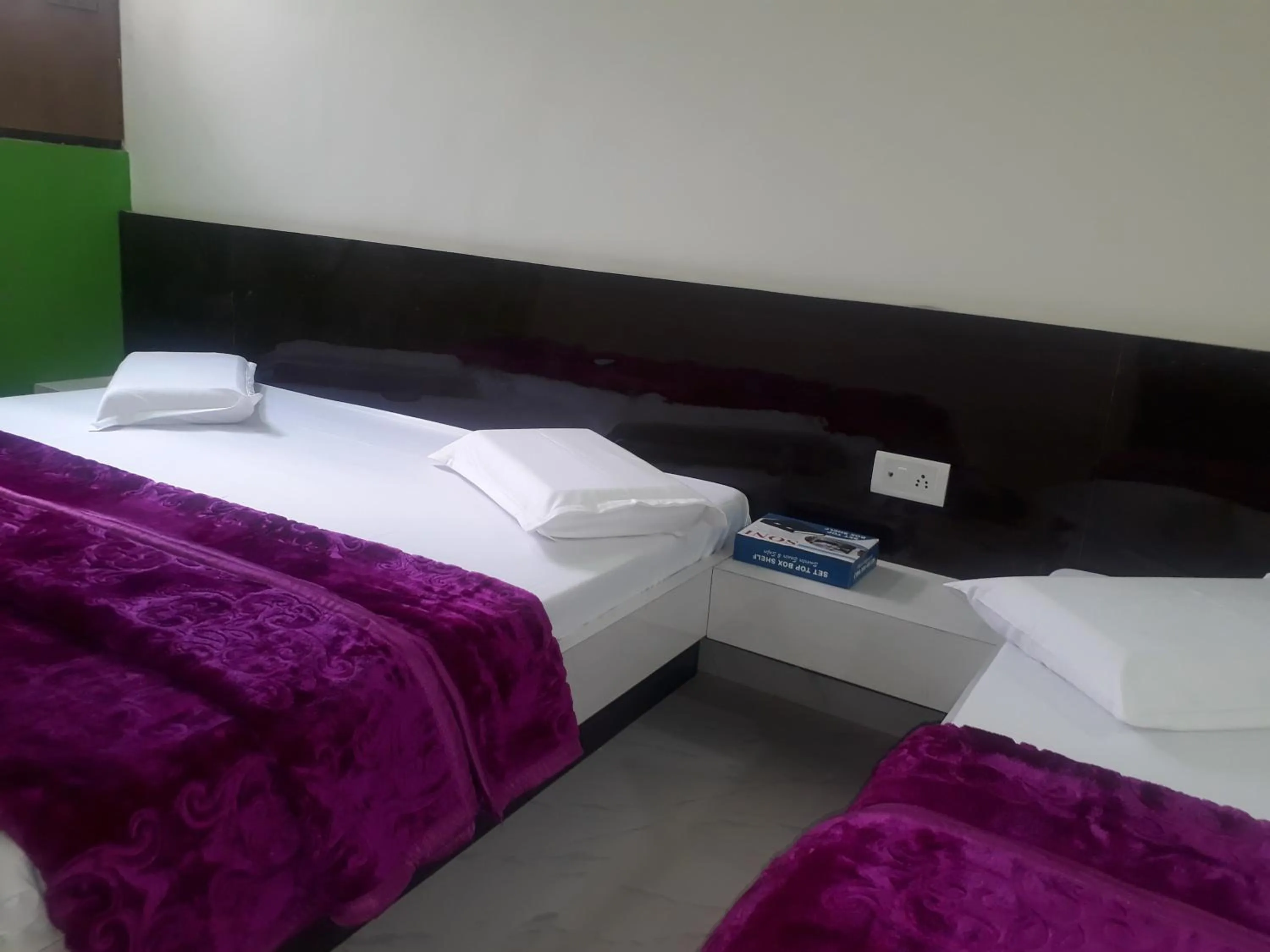 Hotel Moon Sky Ajmer