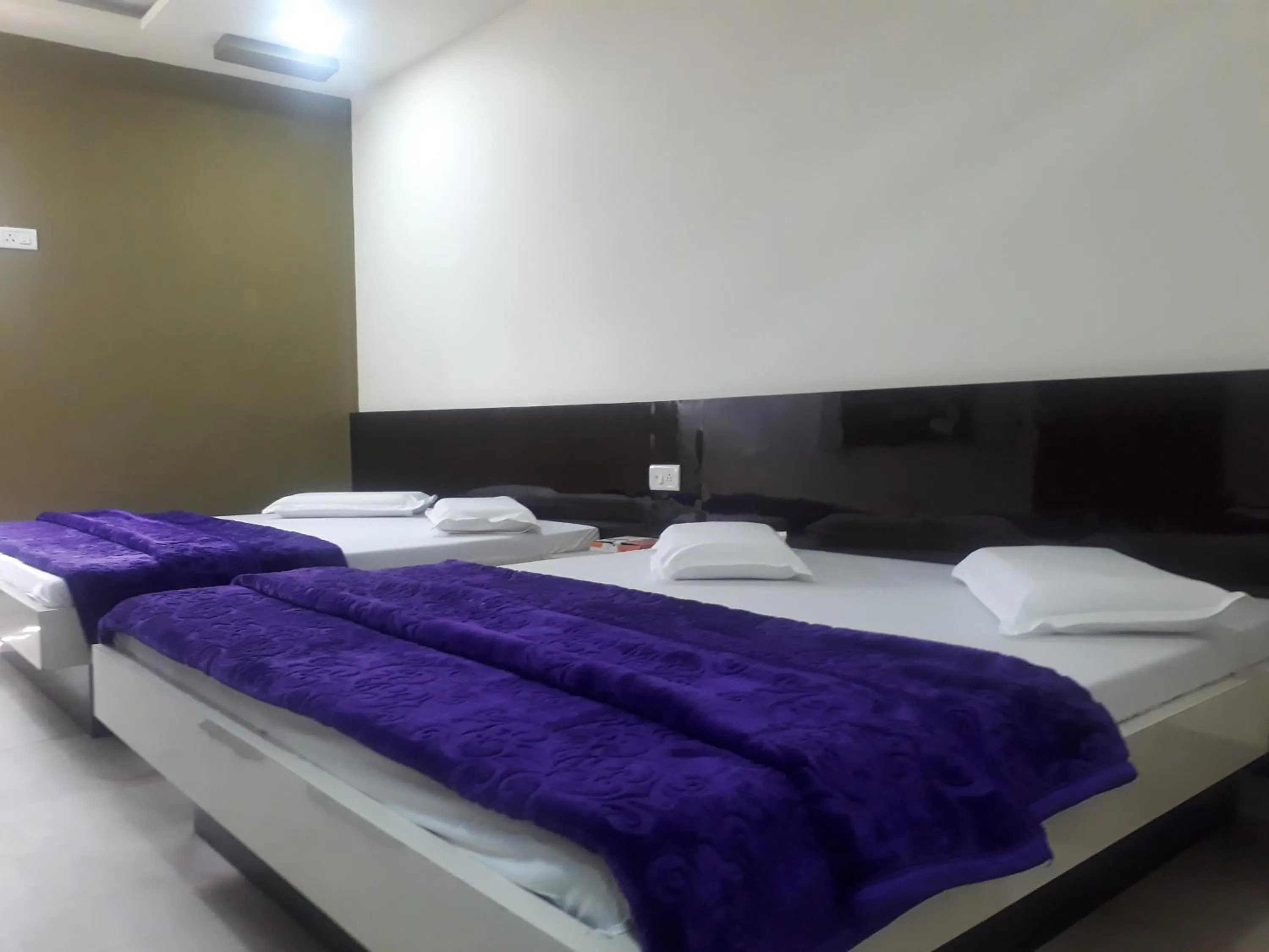 Hotel Moon Sky Ajmer