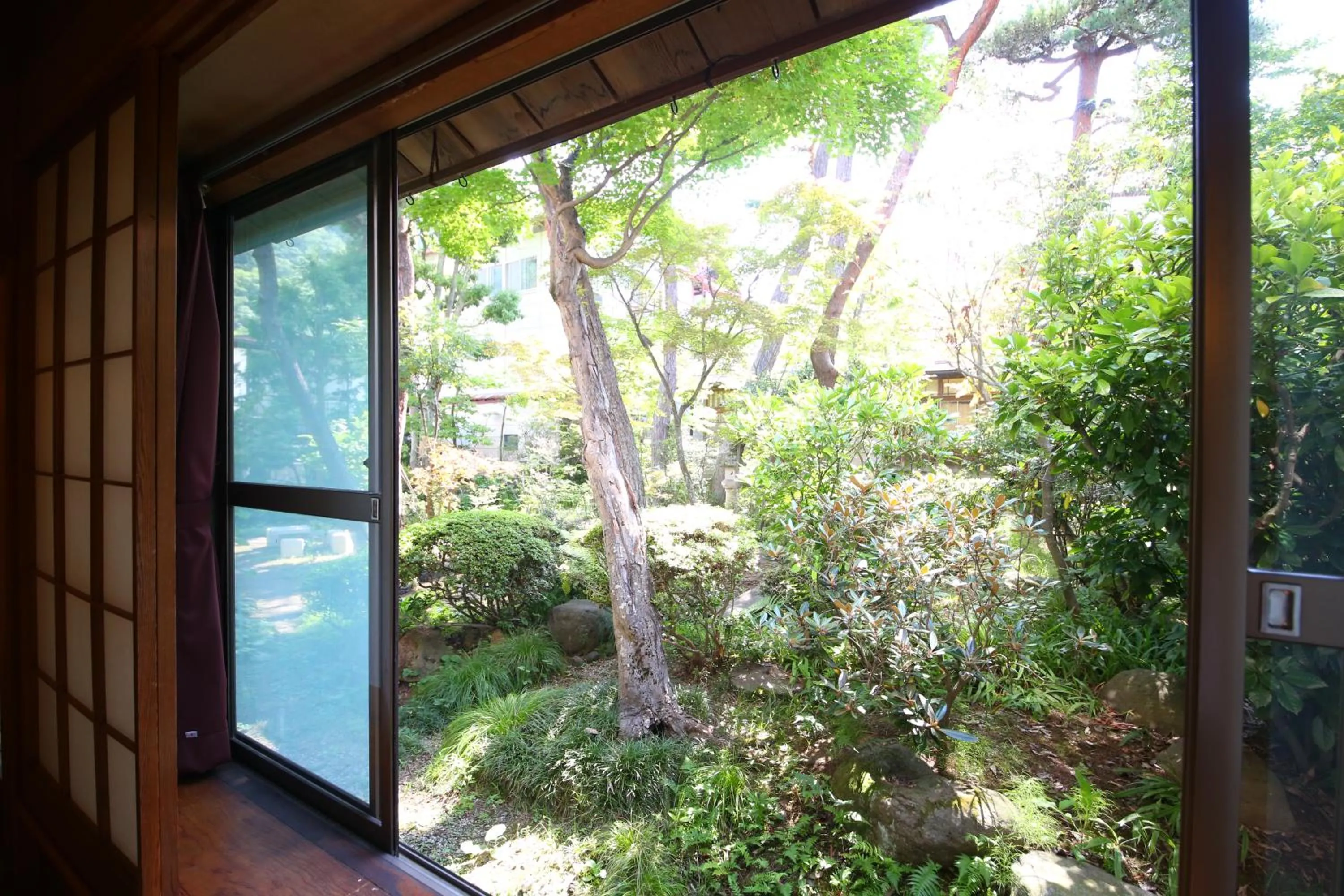Garden view in Yudanaka Yumoto