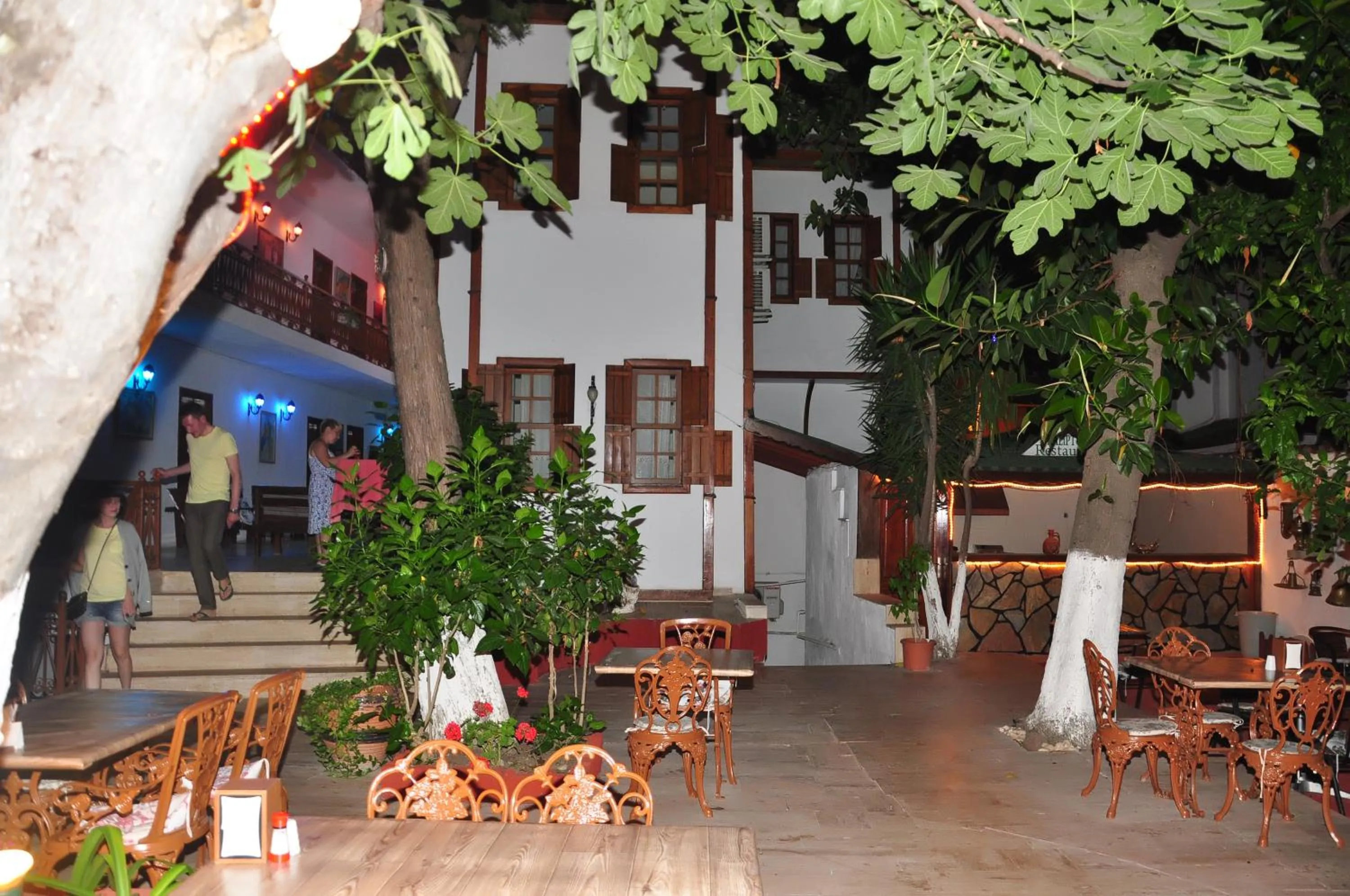 Night in Kaliptus Hotel