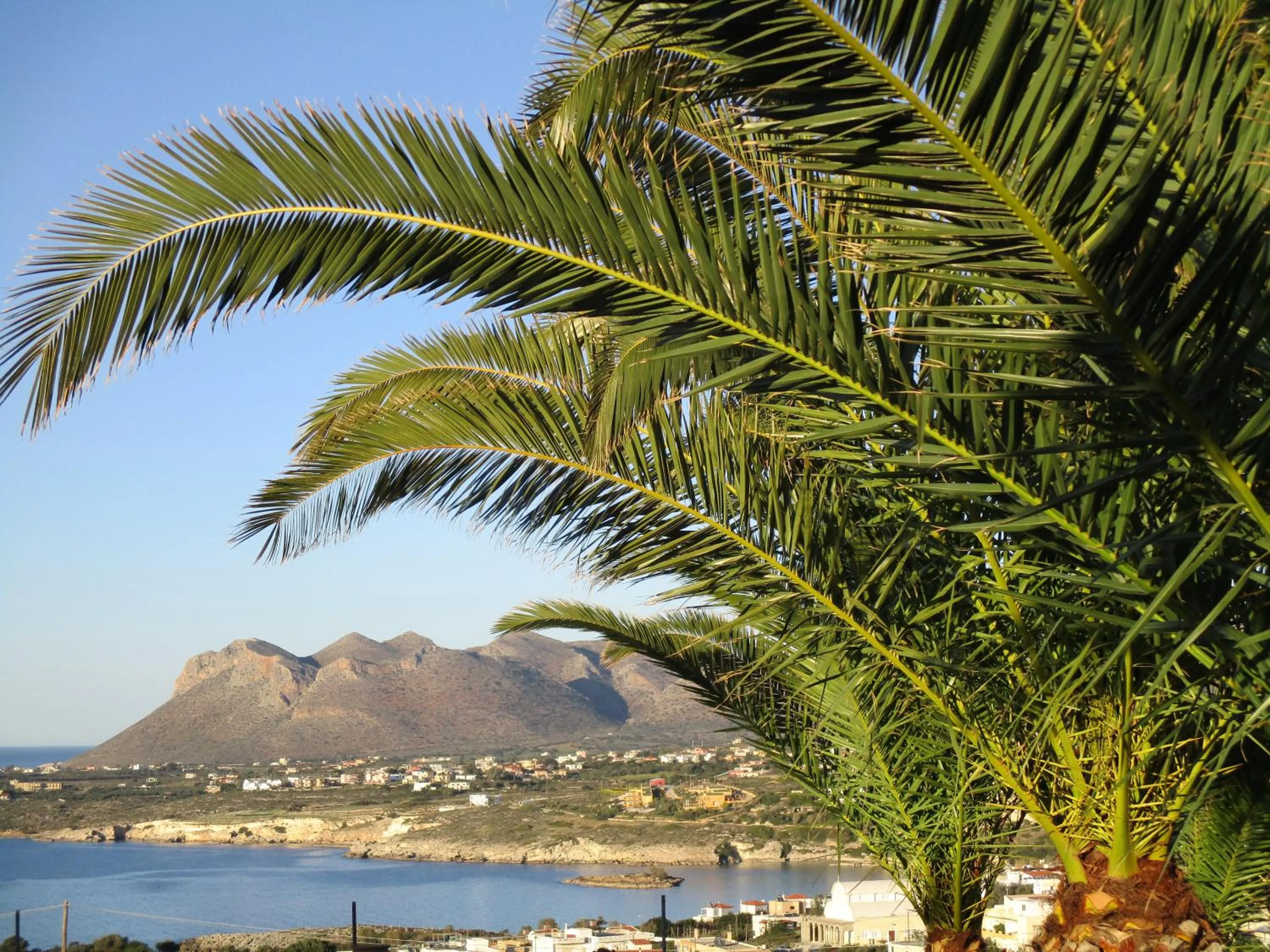 Garden in Theodosia Studios
