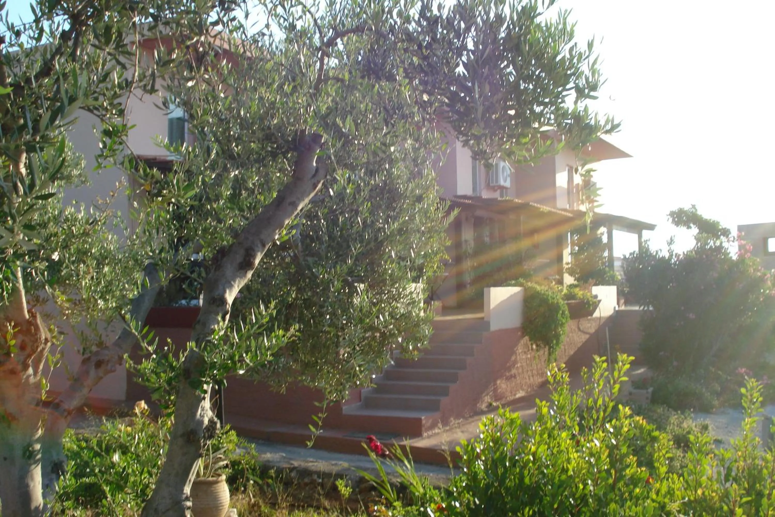 Facade/entrance in Theodosia Studios