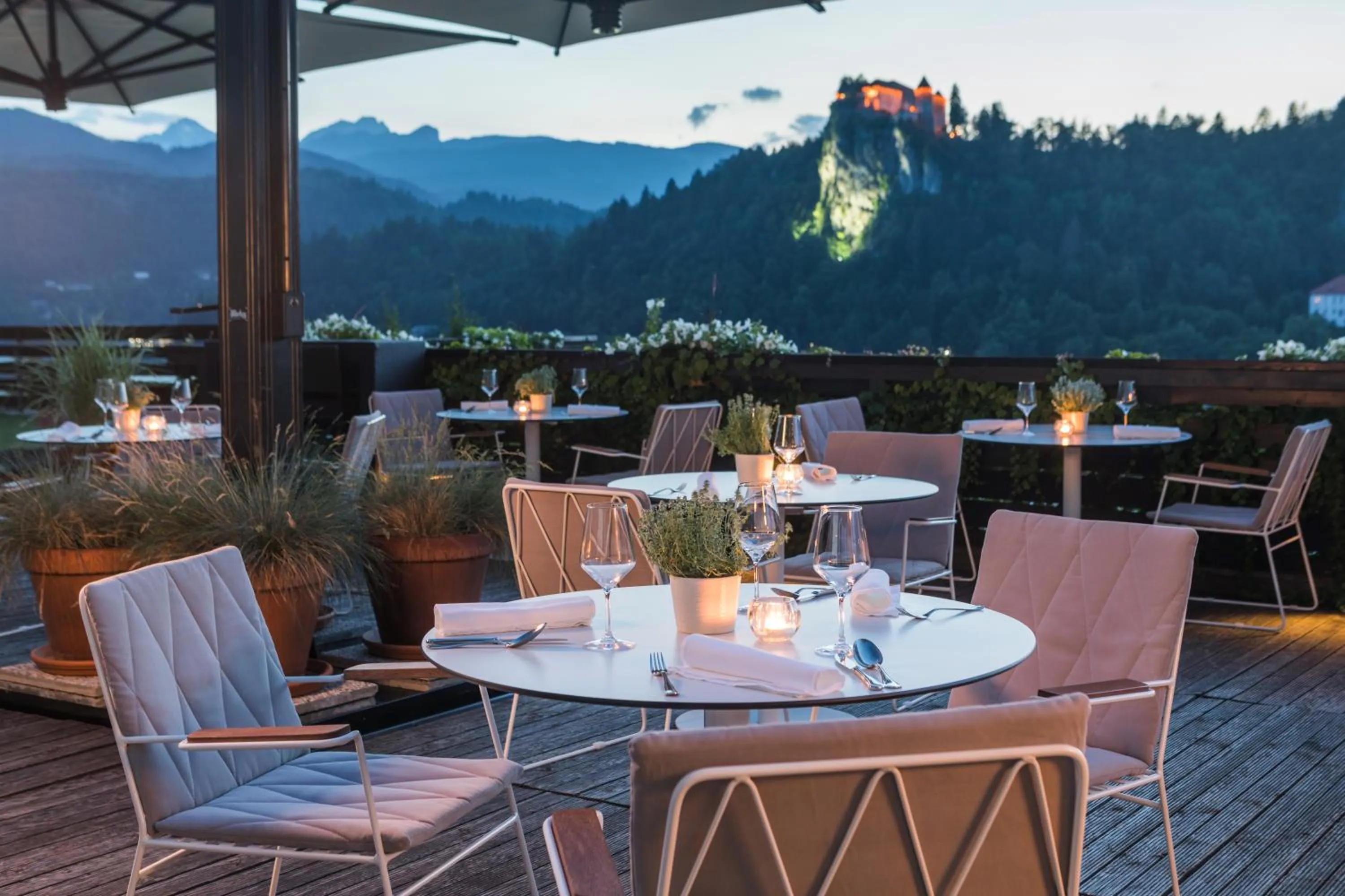 Garden in Hotel Kompas