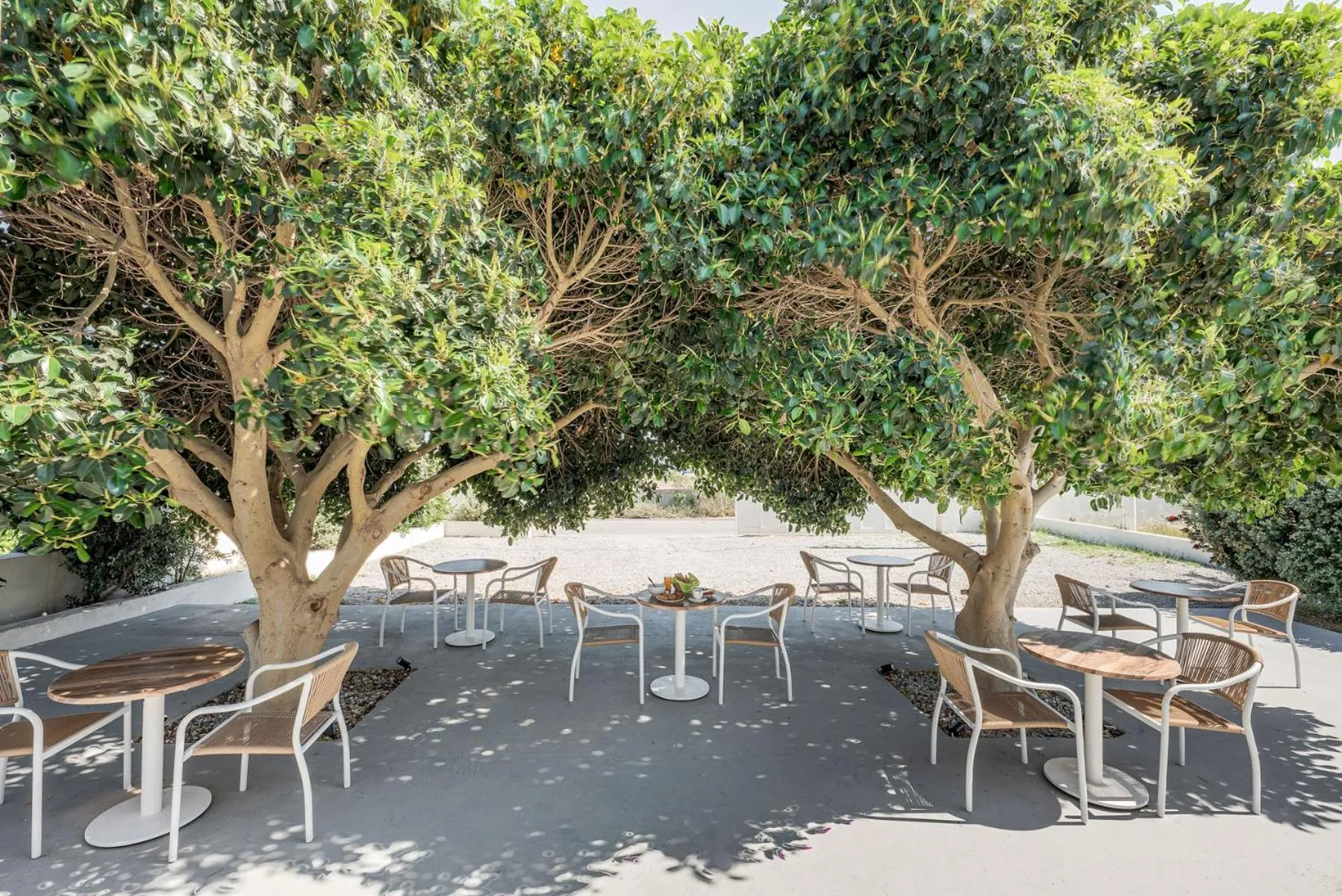 Spring in Ambeli Apartments