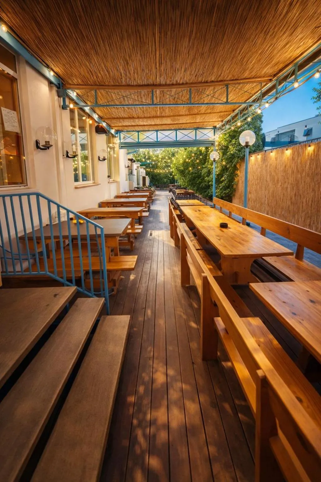 Garden in Sunflower Beach Backpacker Hostel & Bar