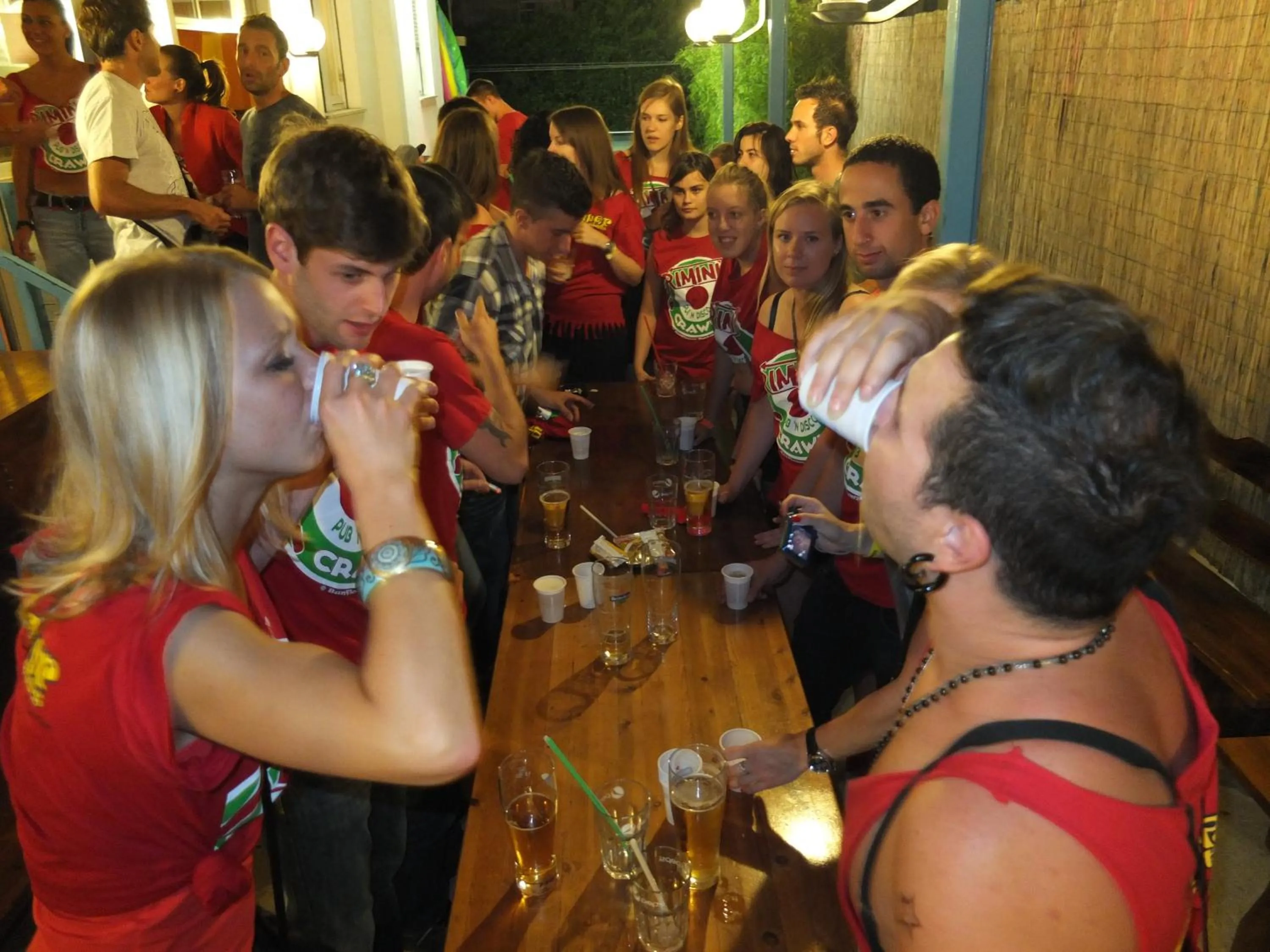 Lounge or bar in Sunflower Beach Backpacker Hostel & Bar