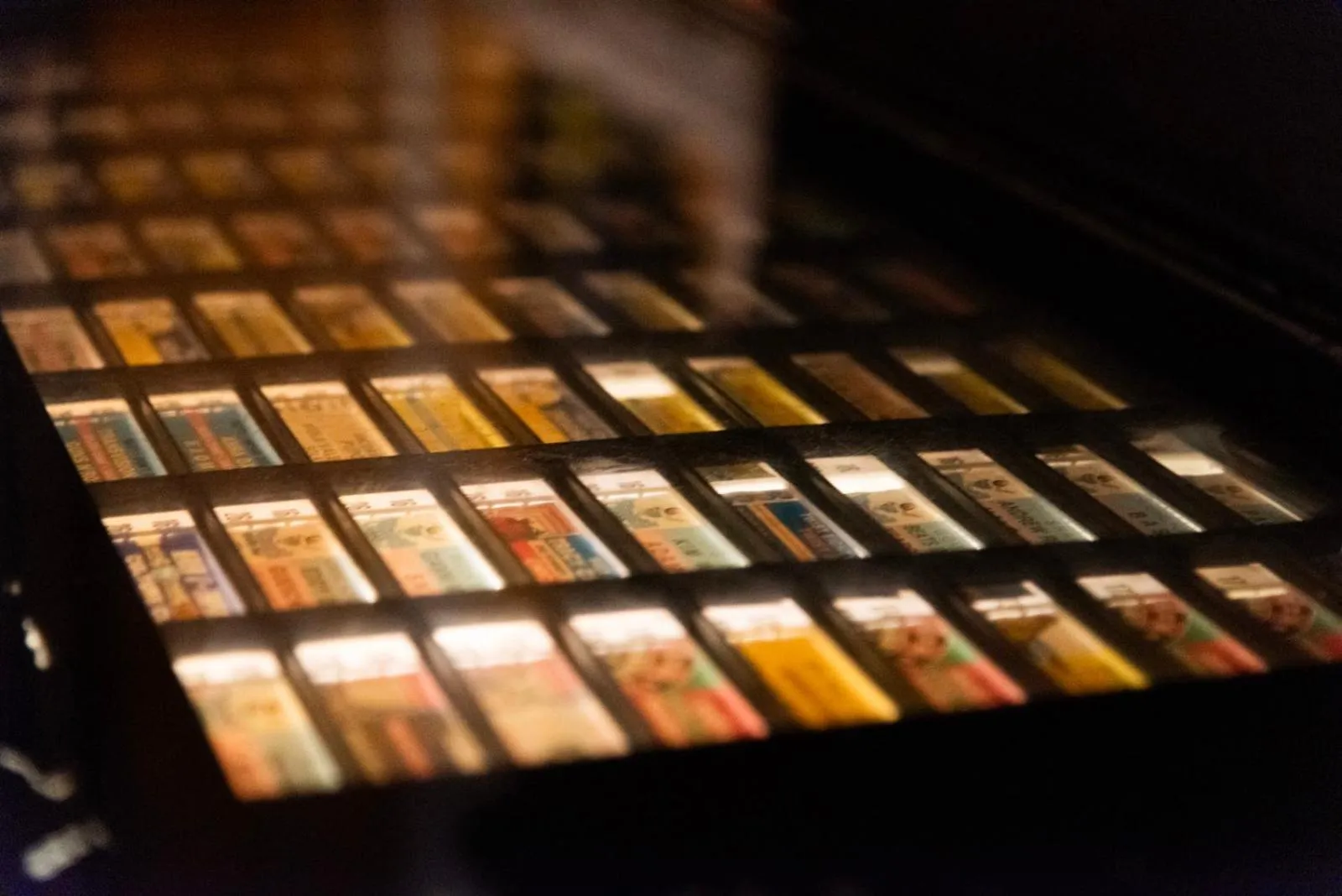 Lounge or bar in Sunflower Beach Backpacker Hostel & Bar