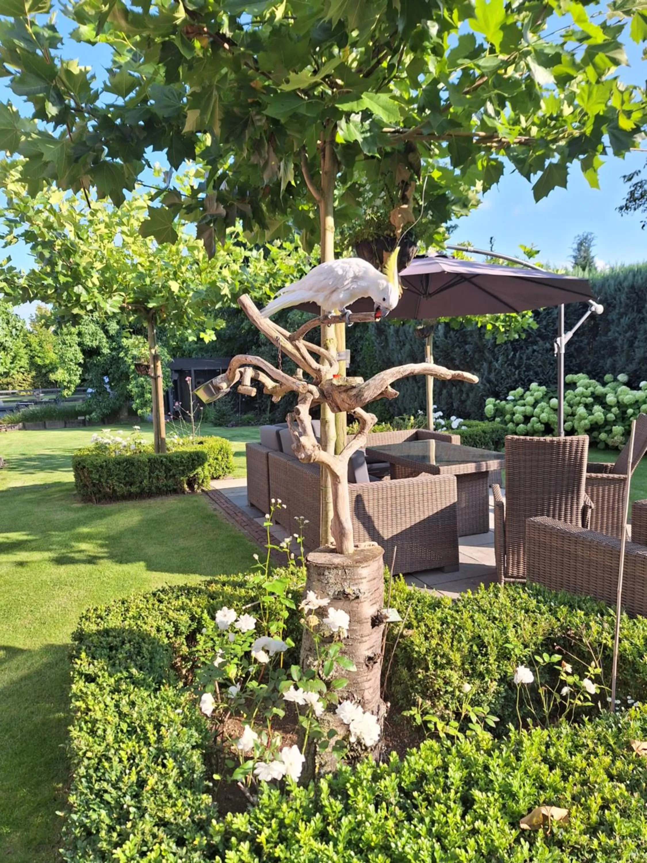 Animals in B&B De Raamberg