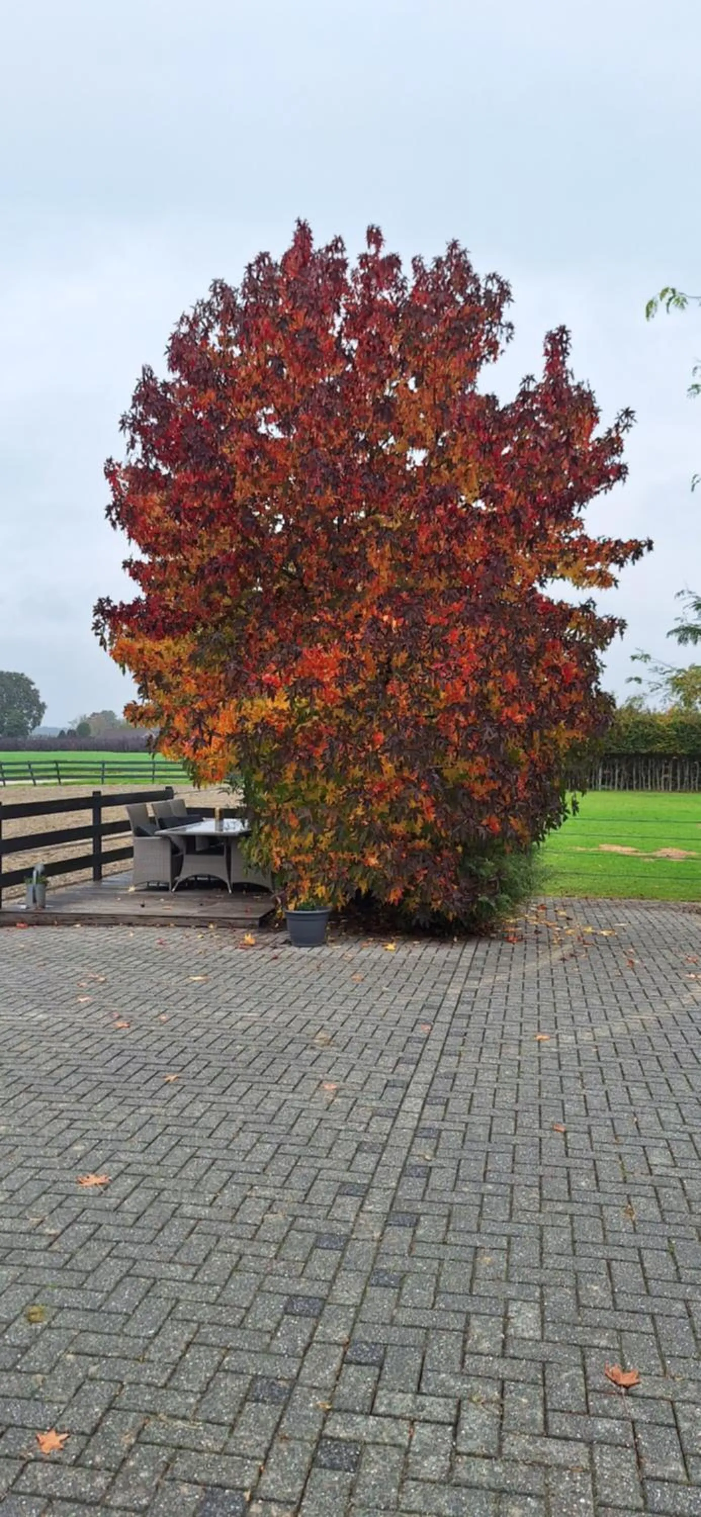 Autumn in B&B De Raamberg