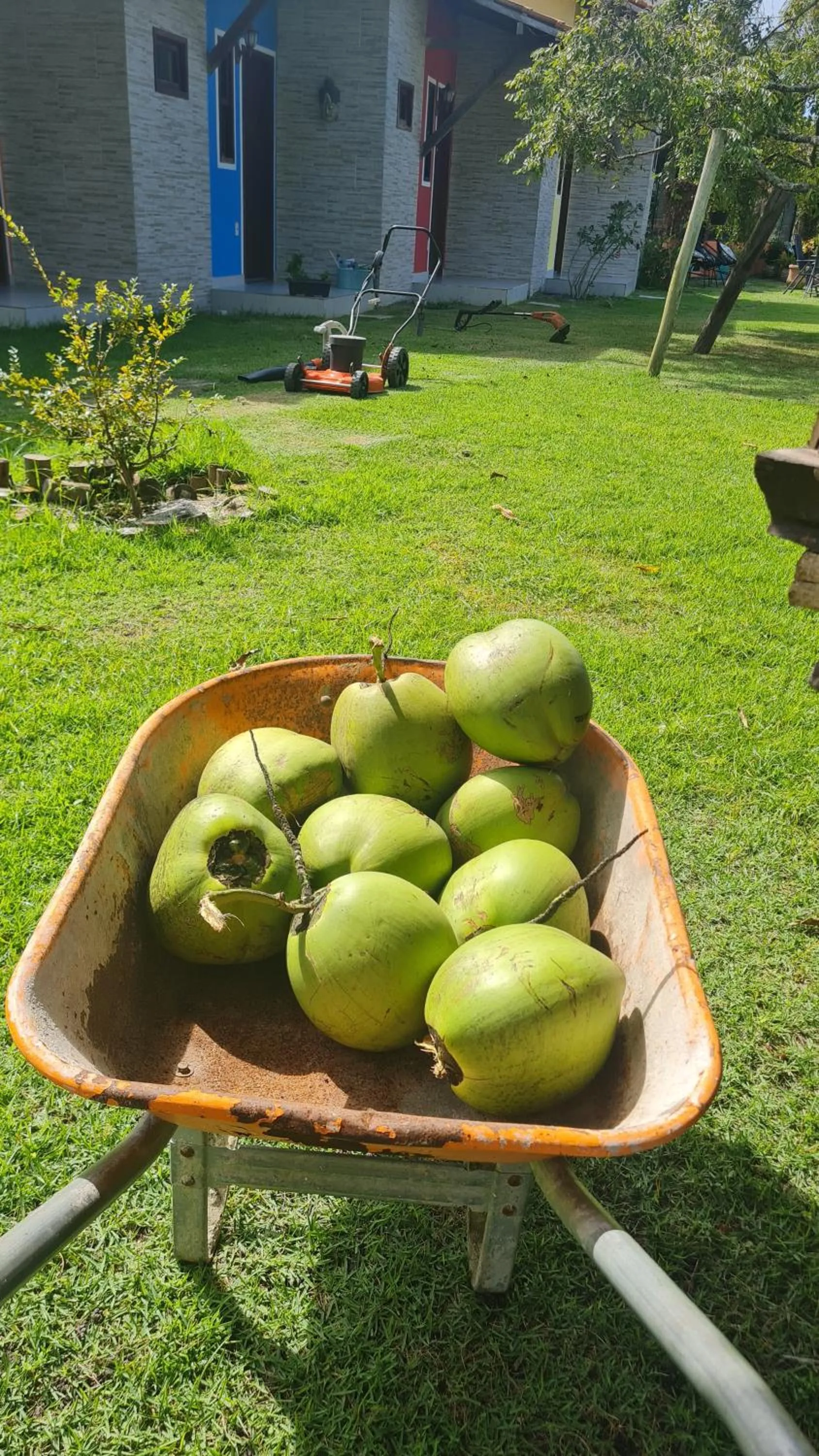 Garden in Pousada Jeito Bom de Viver