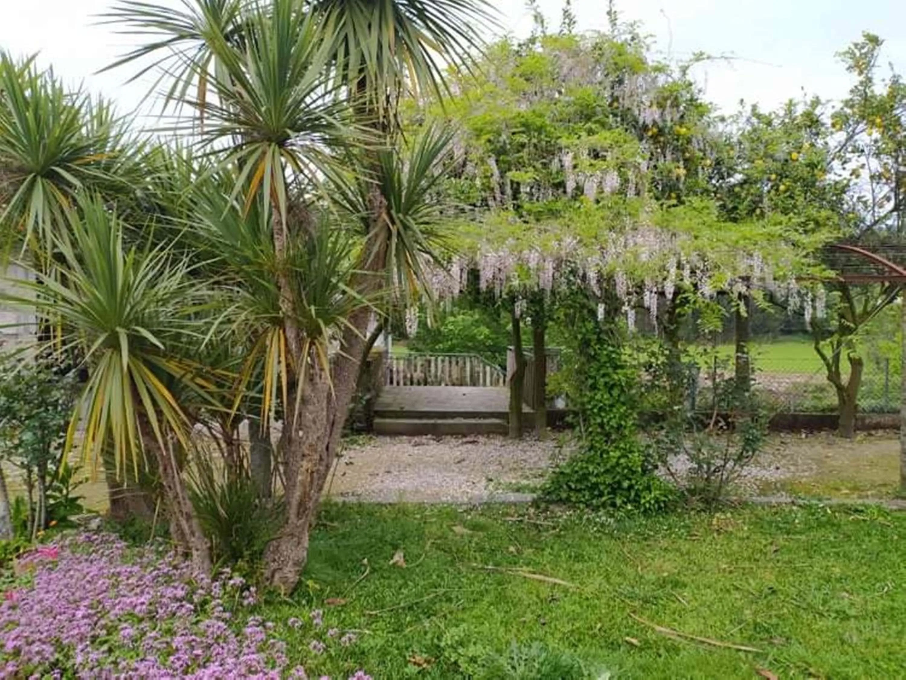 Garden in Casa de Sta Comba