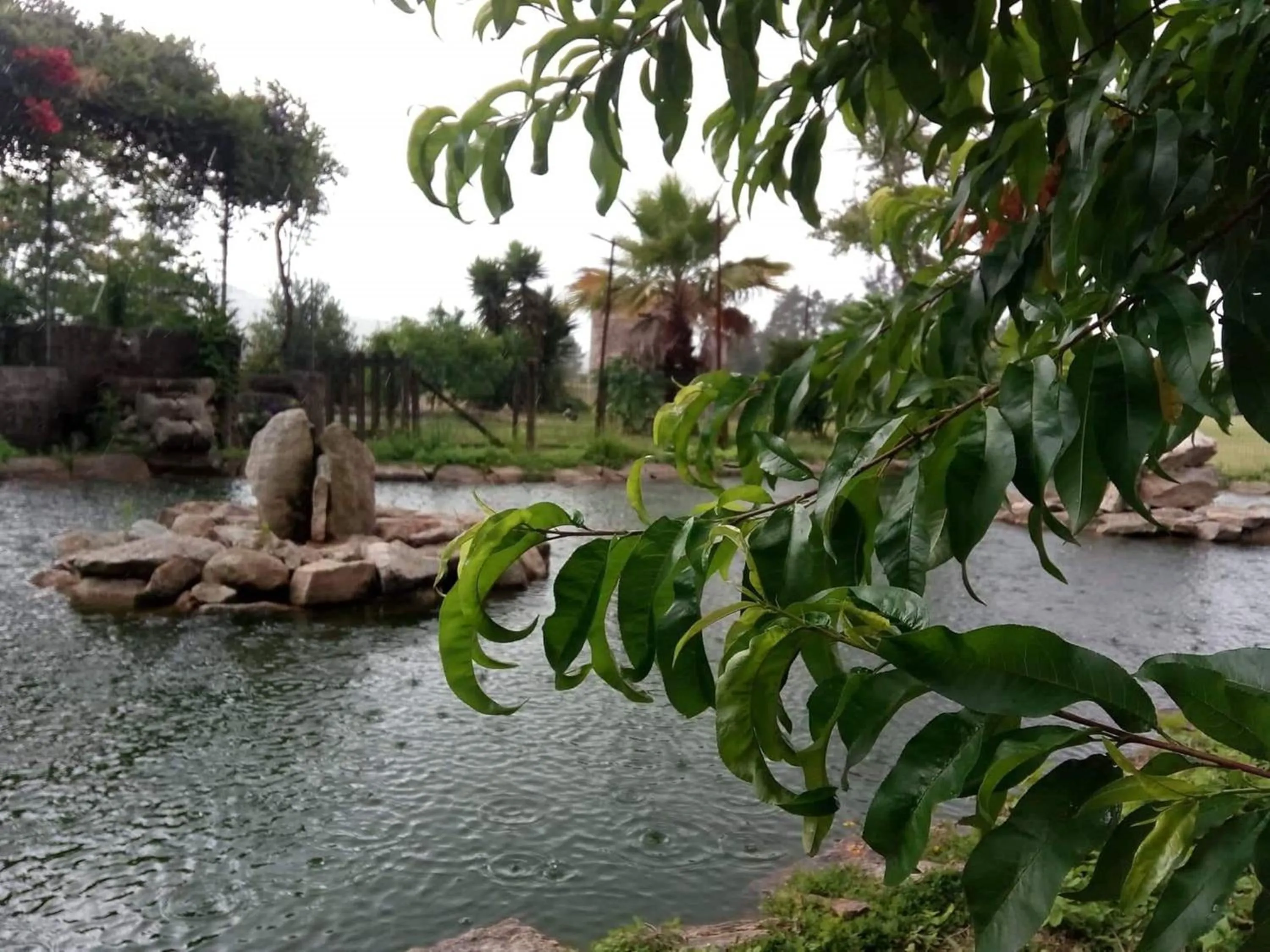 Natural landscape in Casa de Sta Comba