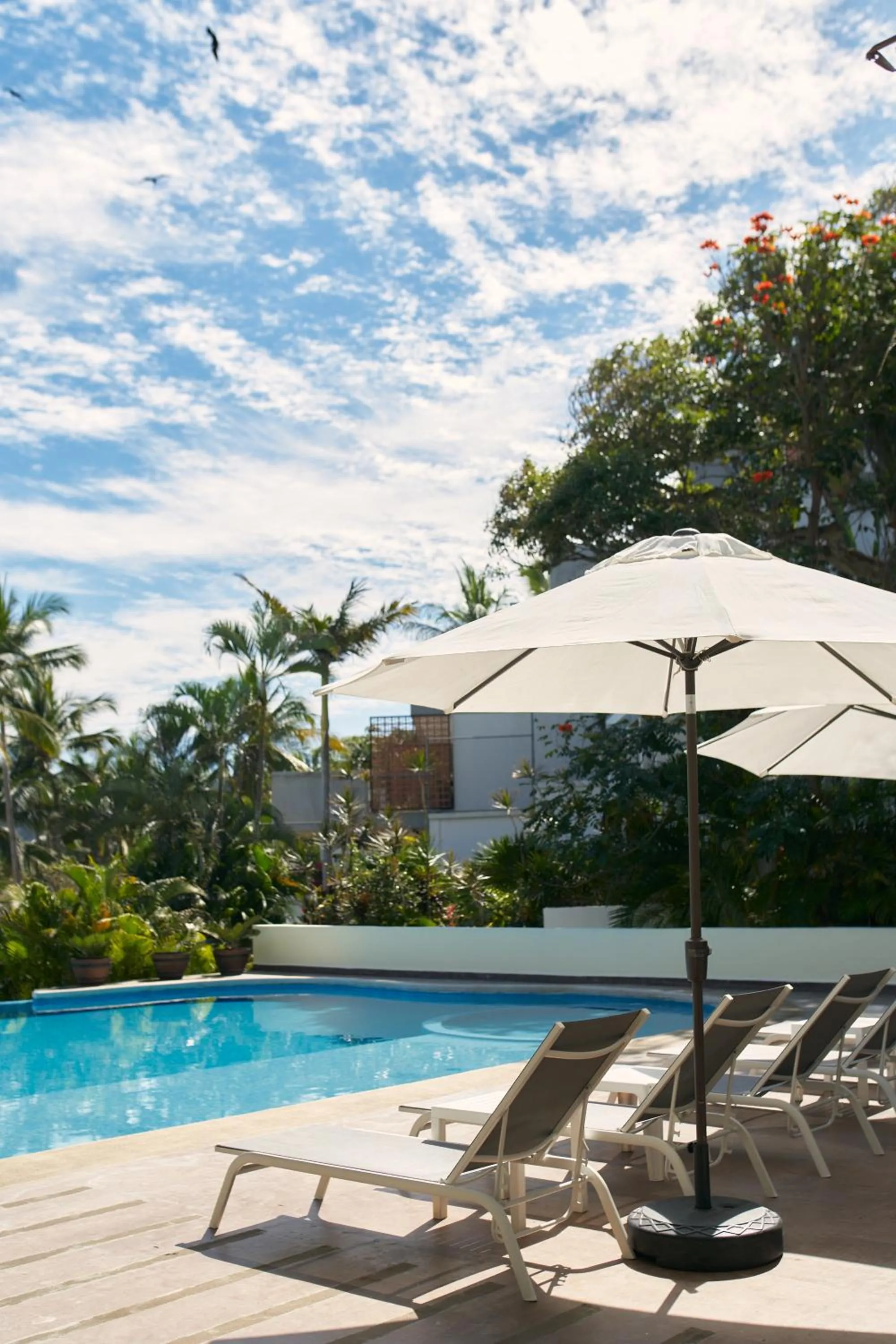 Swimming pool in Ysuri Sayulita - Beachfront Hotel