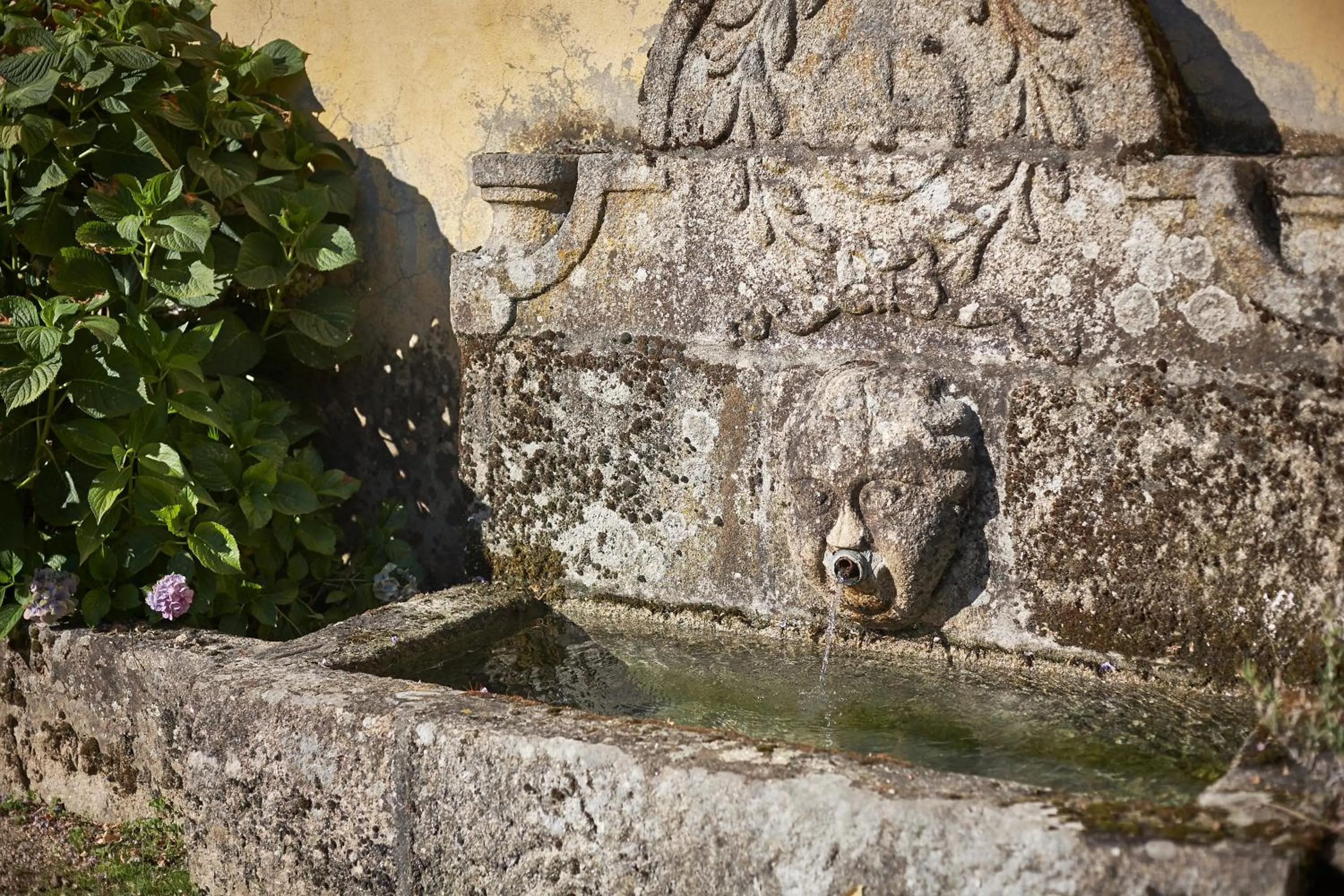 Garden in Casa de Canedo