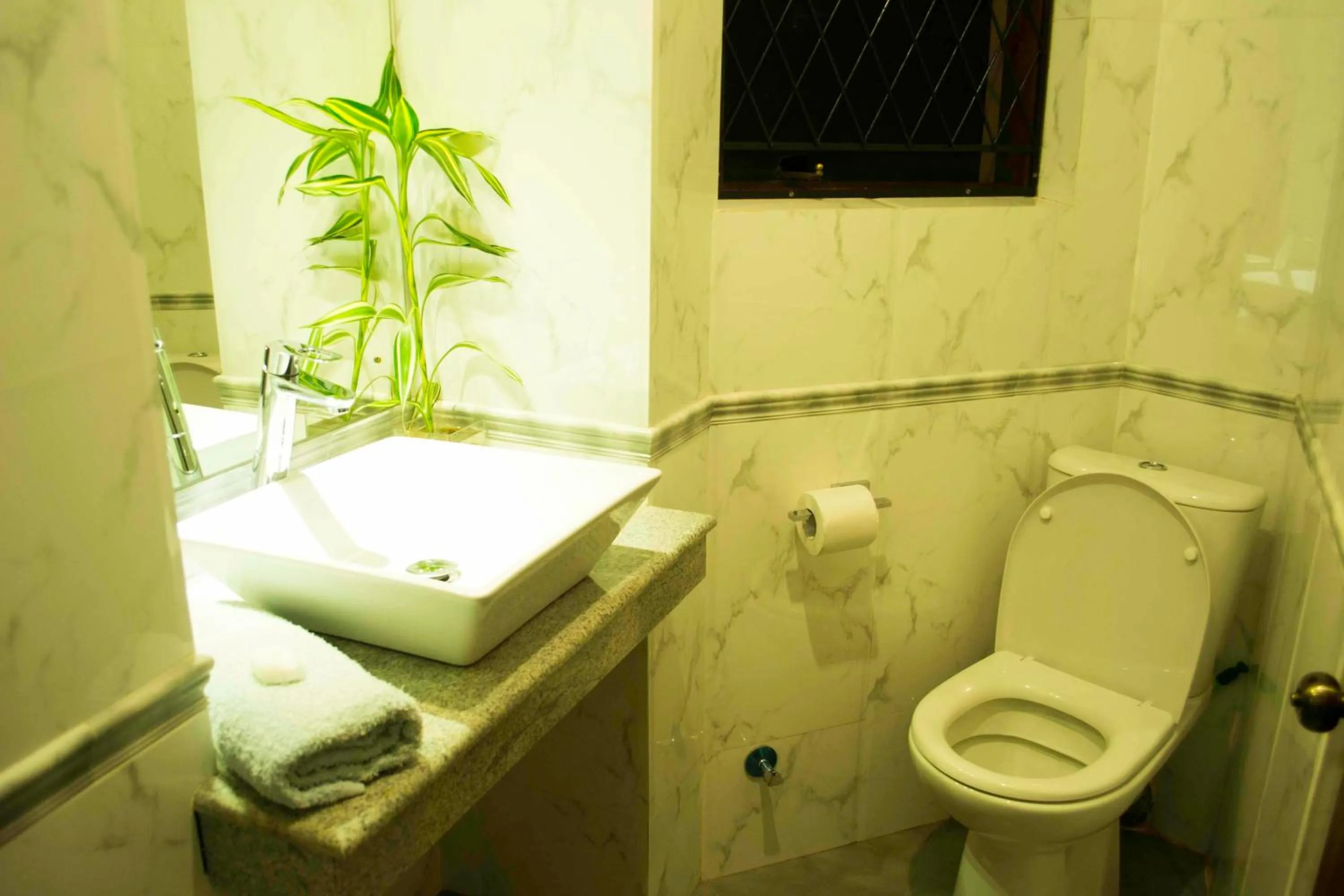 Toilet in Villa 49