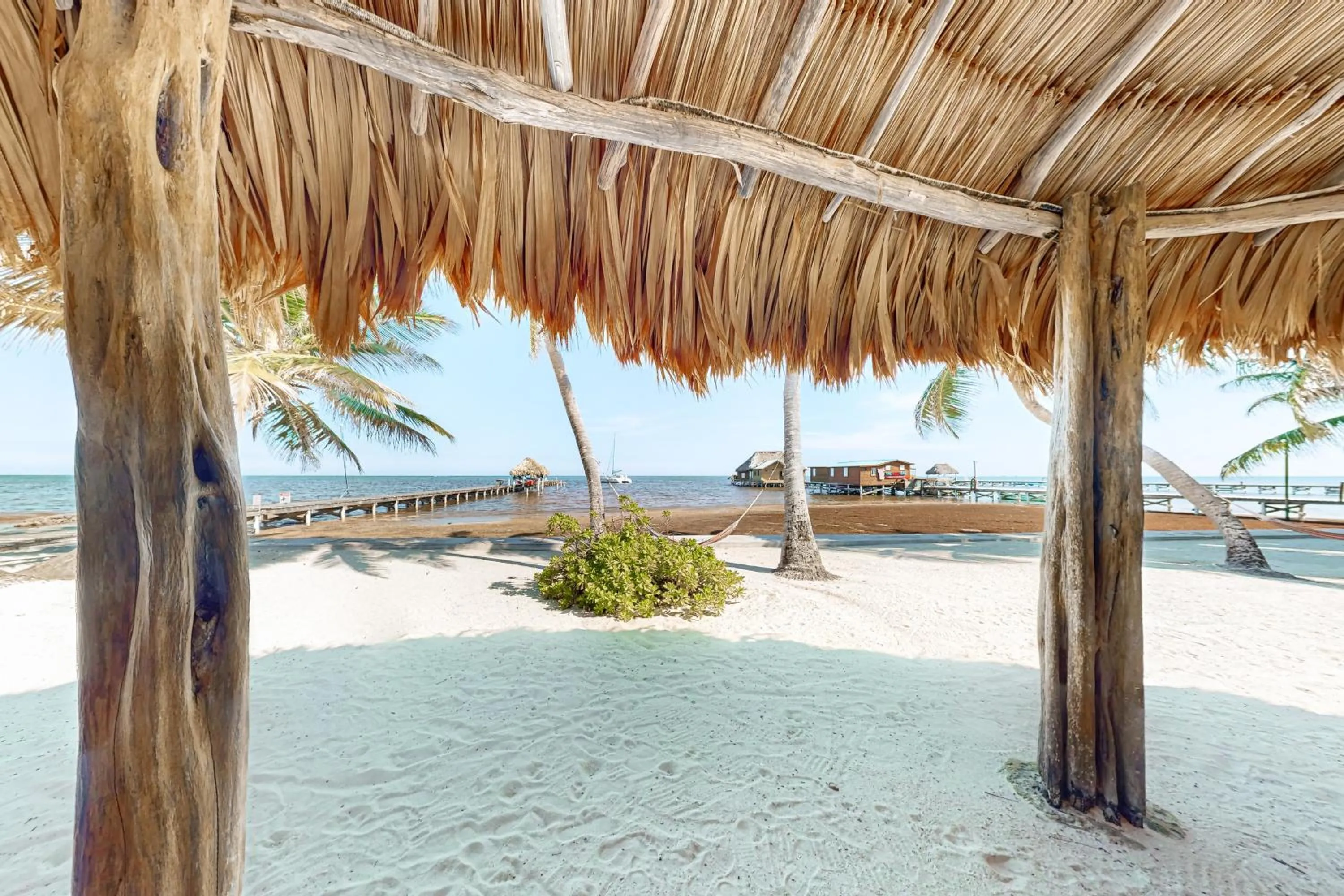 Caribbean Lily @ Caribe Island