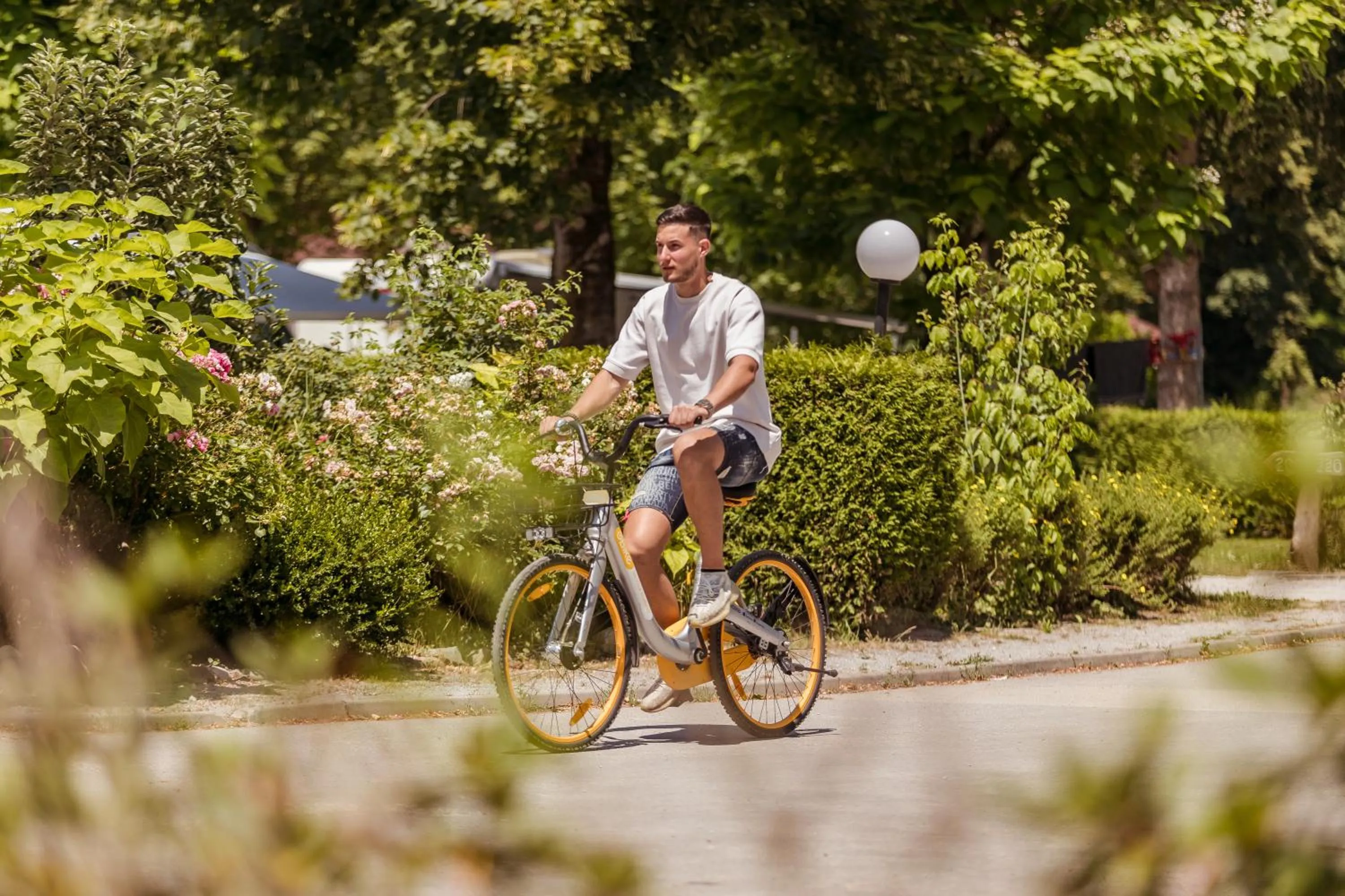 Natural landscape in Ljubljana Resort Hotel & Camping