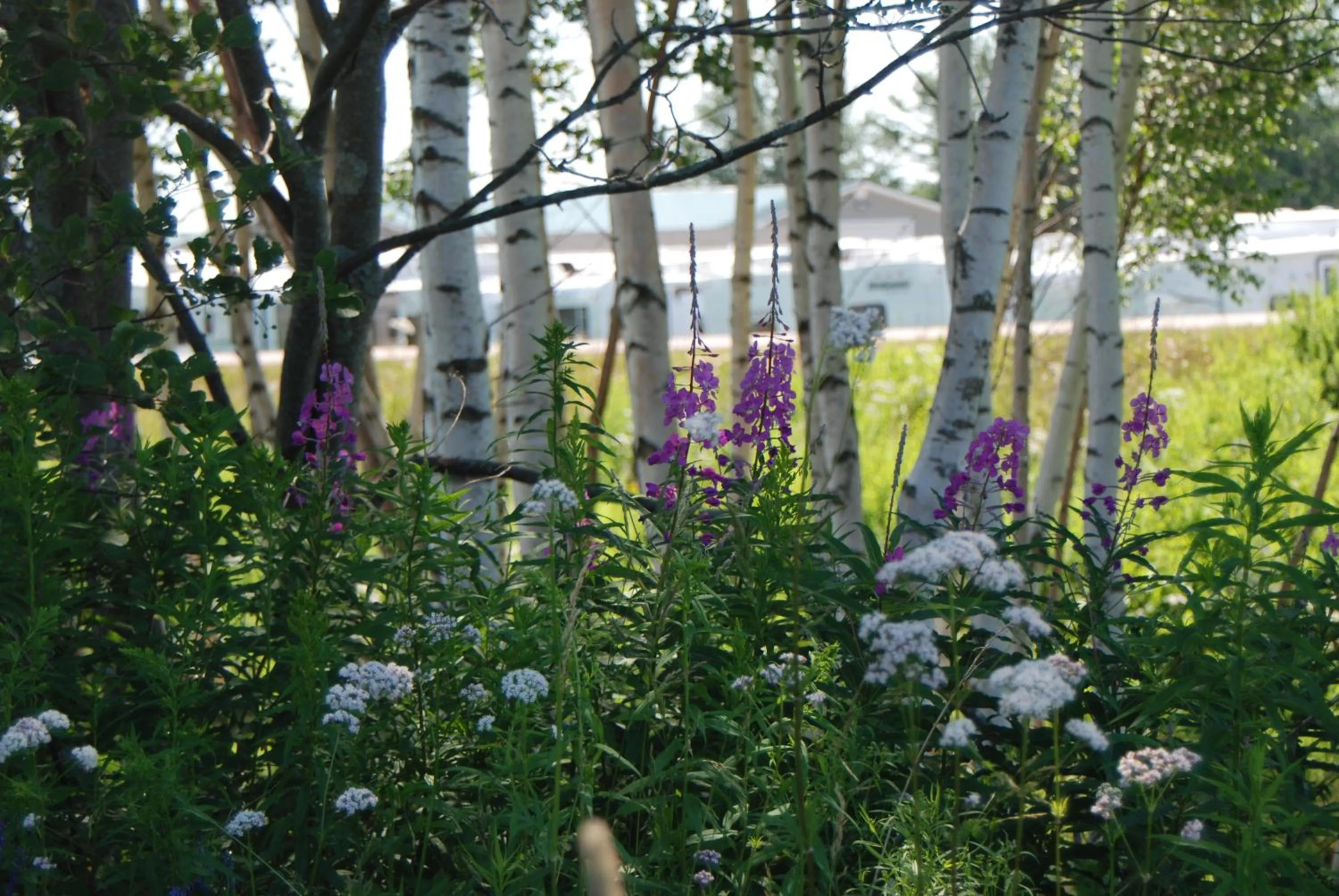 On site in Sackville Inn