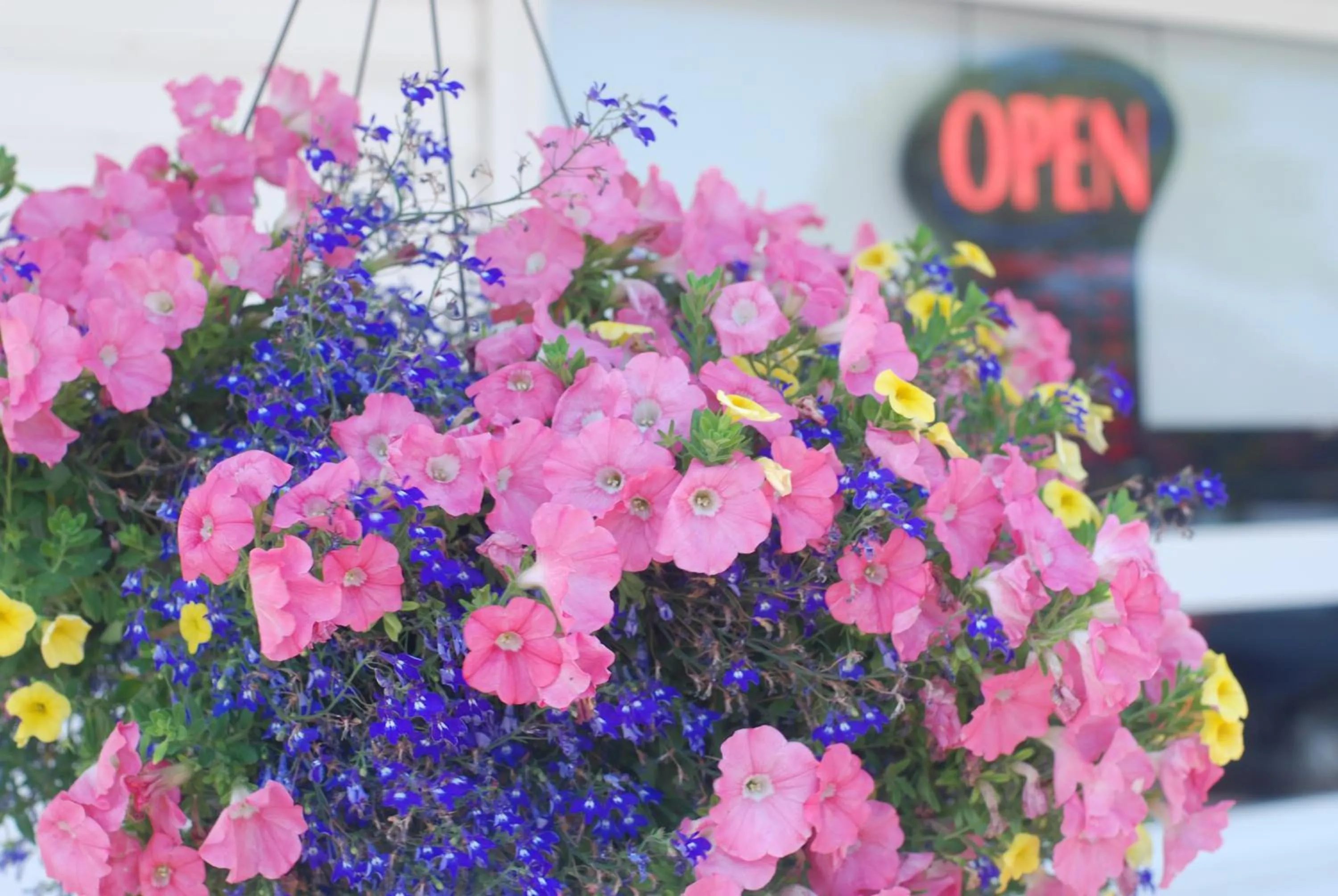 On site in Sackville Inn