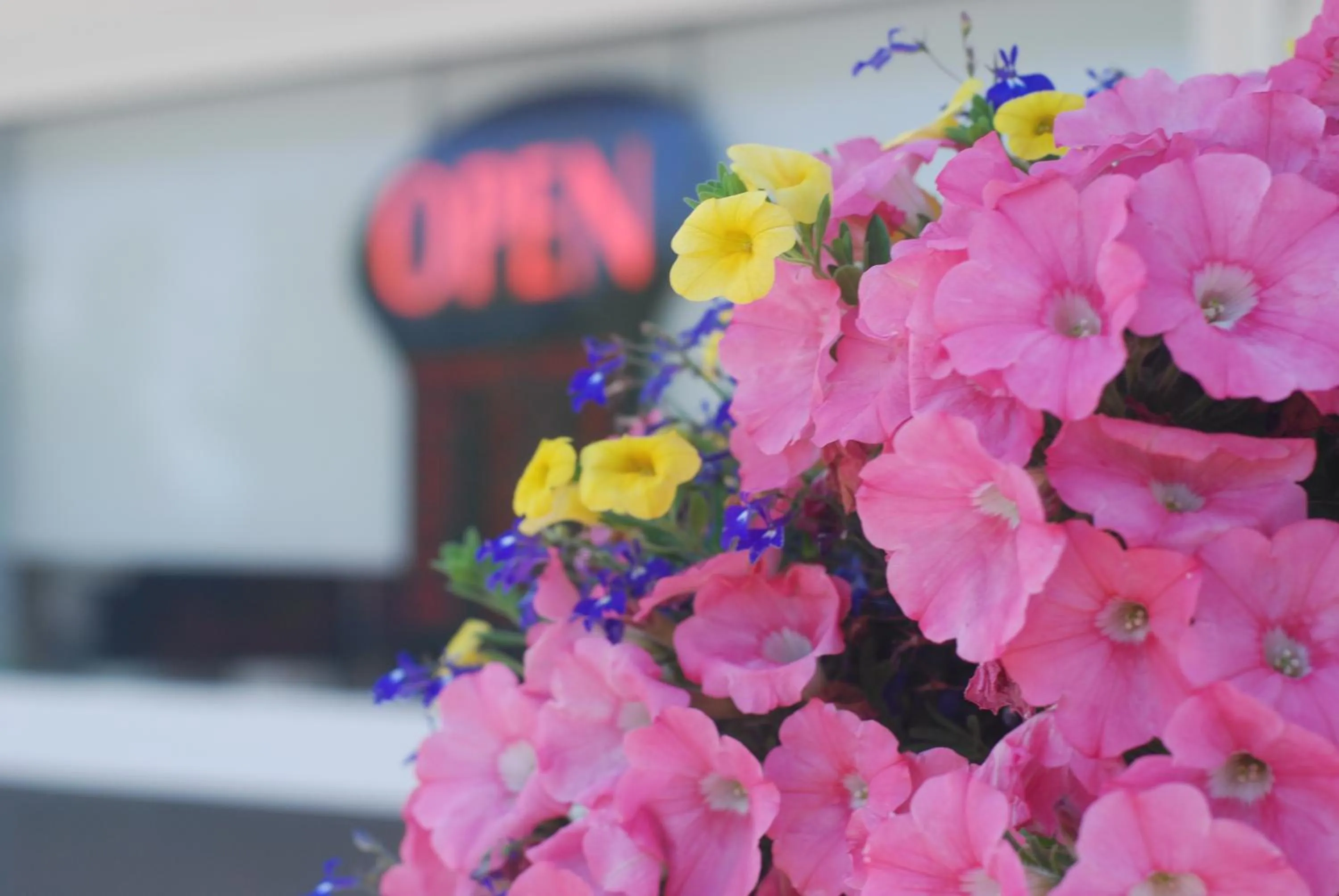 On site in Sackville Inn