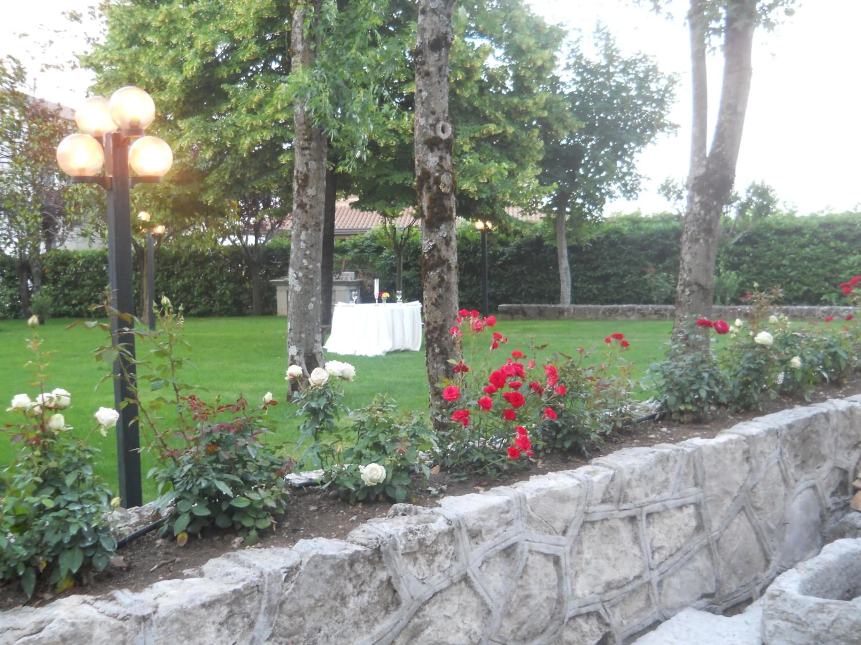 Garden in Hotel Colucci