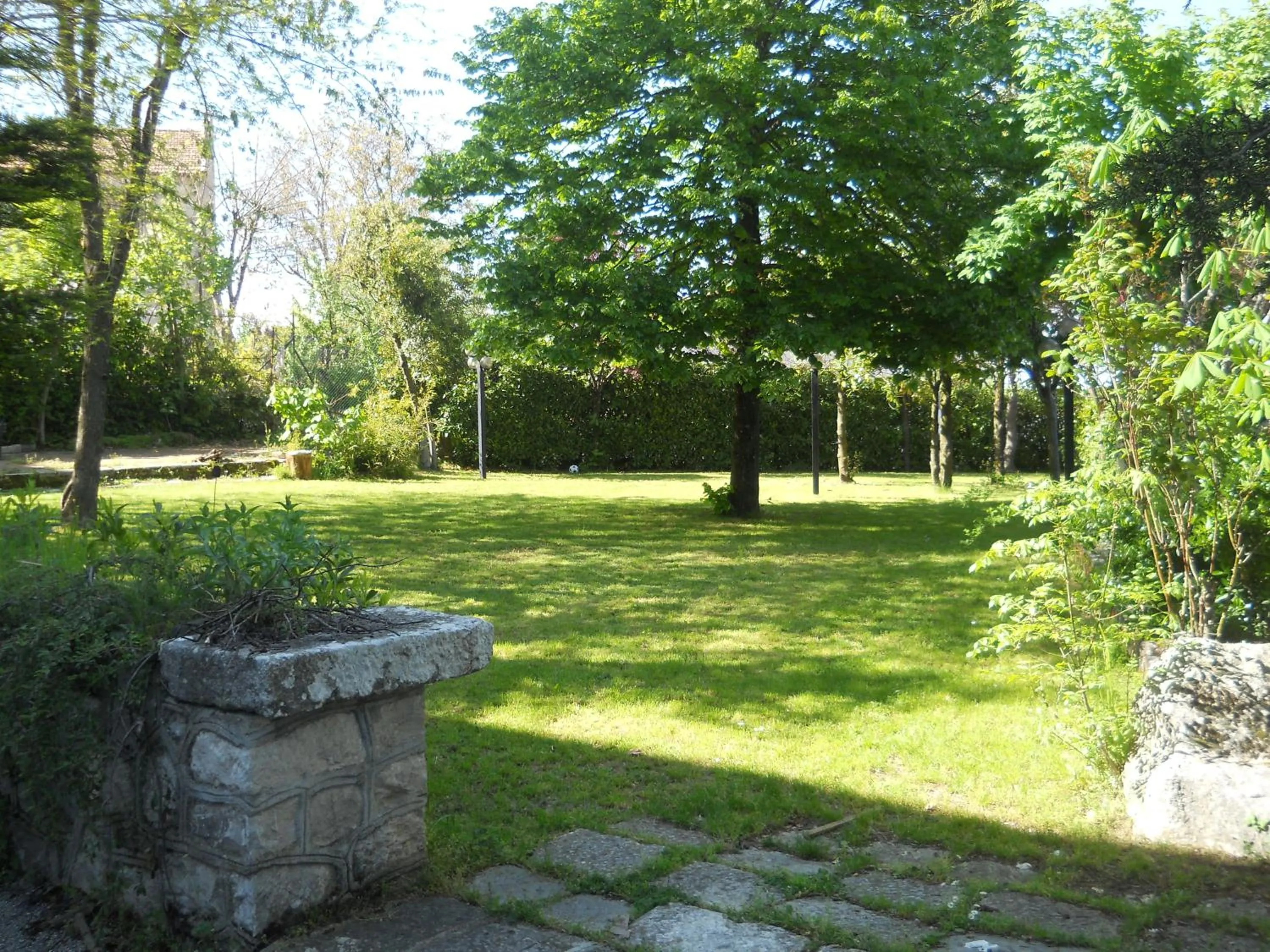 Garden in Hotel Colucci