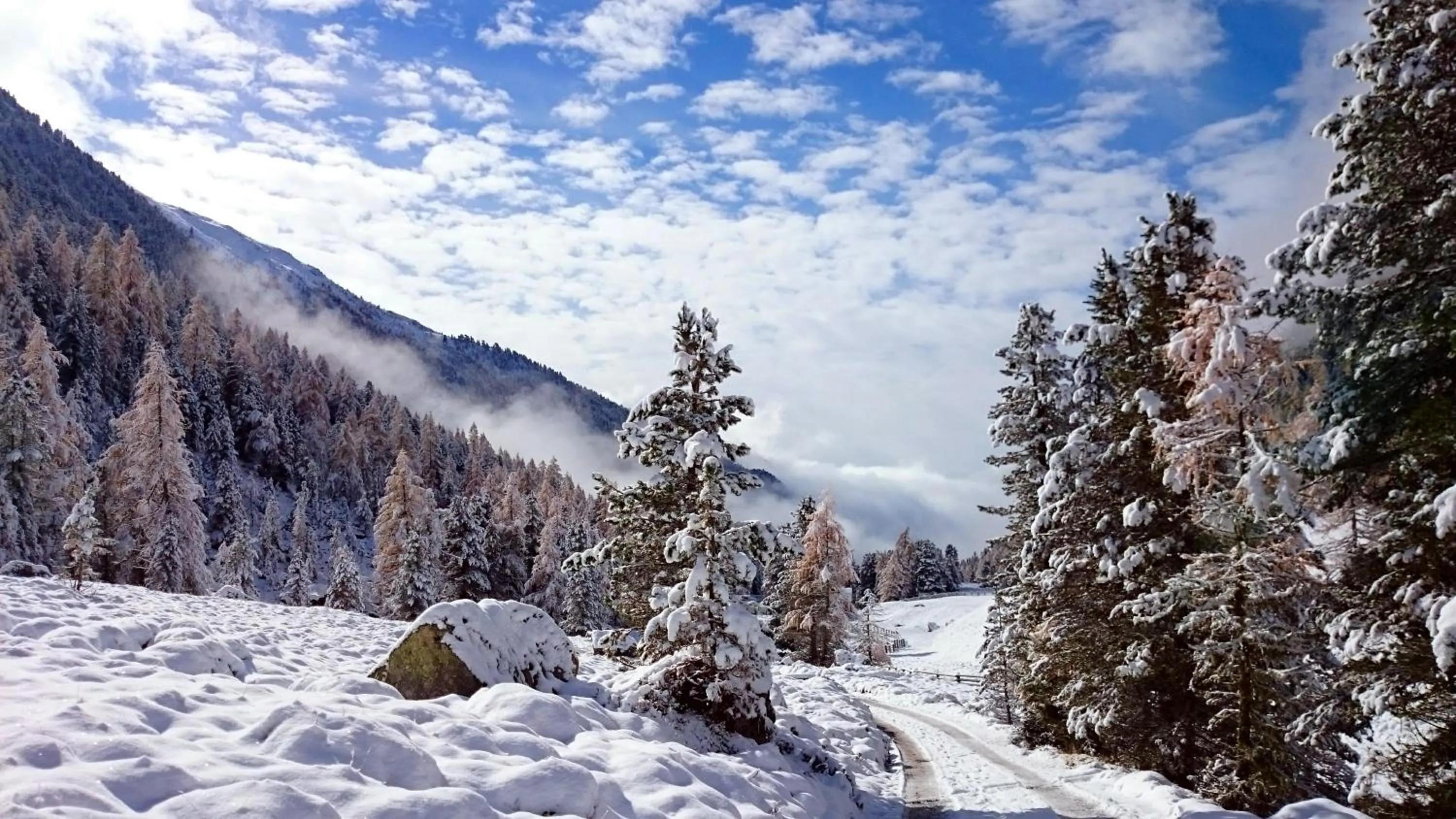 Natural landscape in Residence Sonnberg