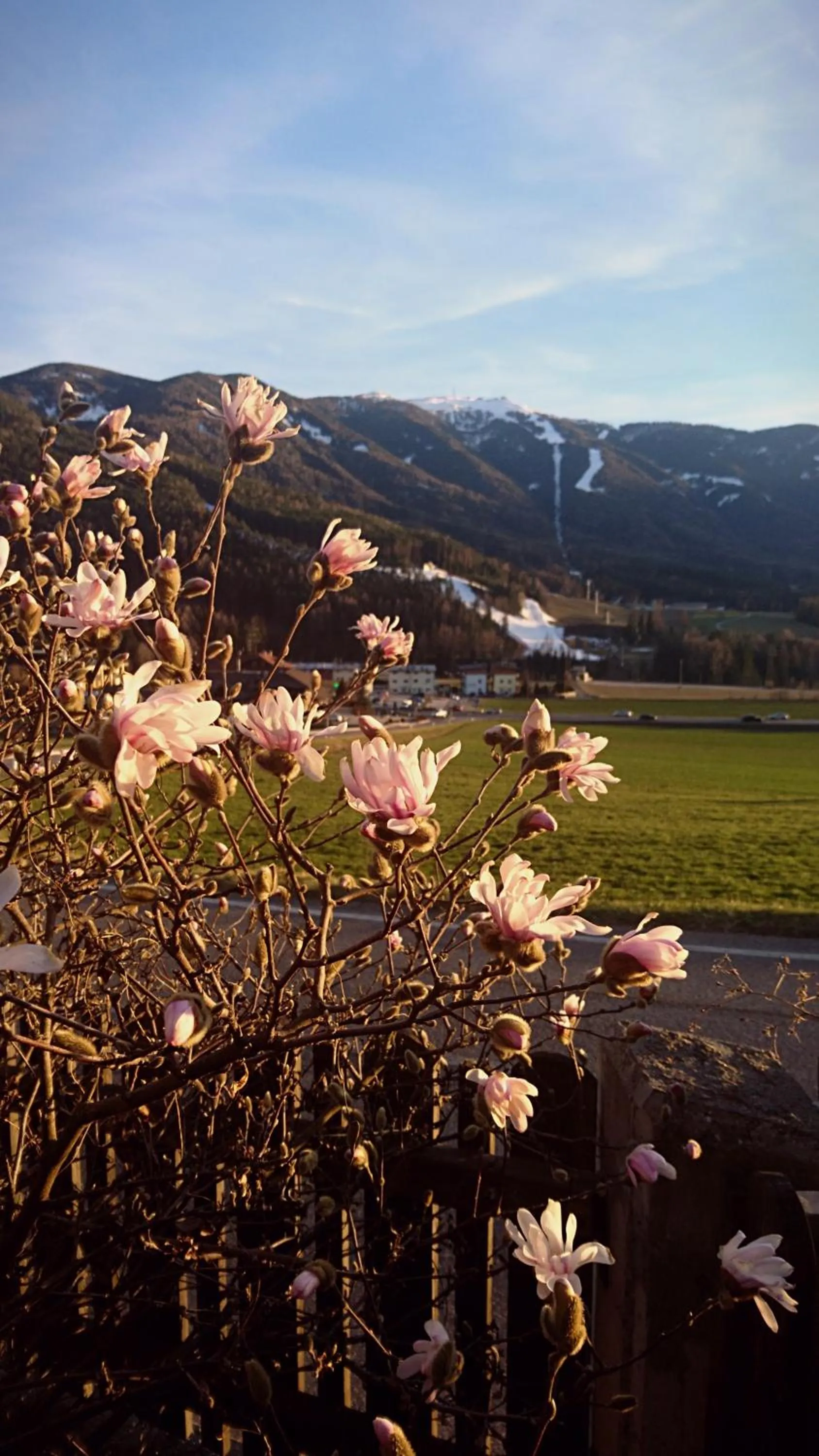 Spring in Residence Sonnberg