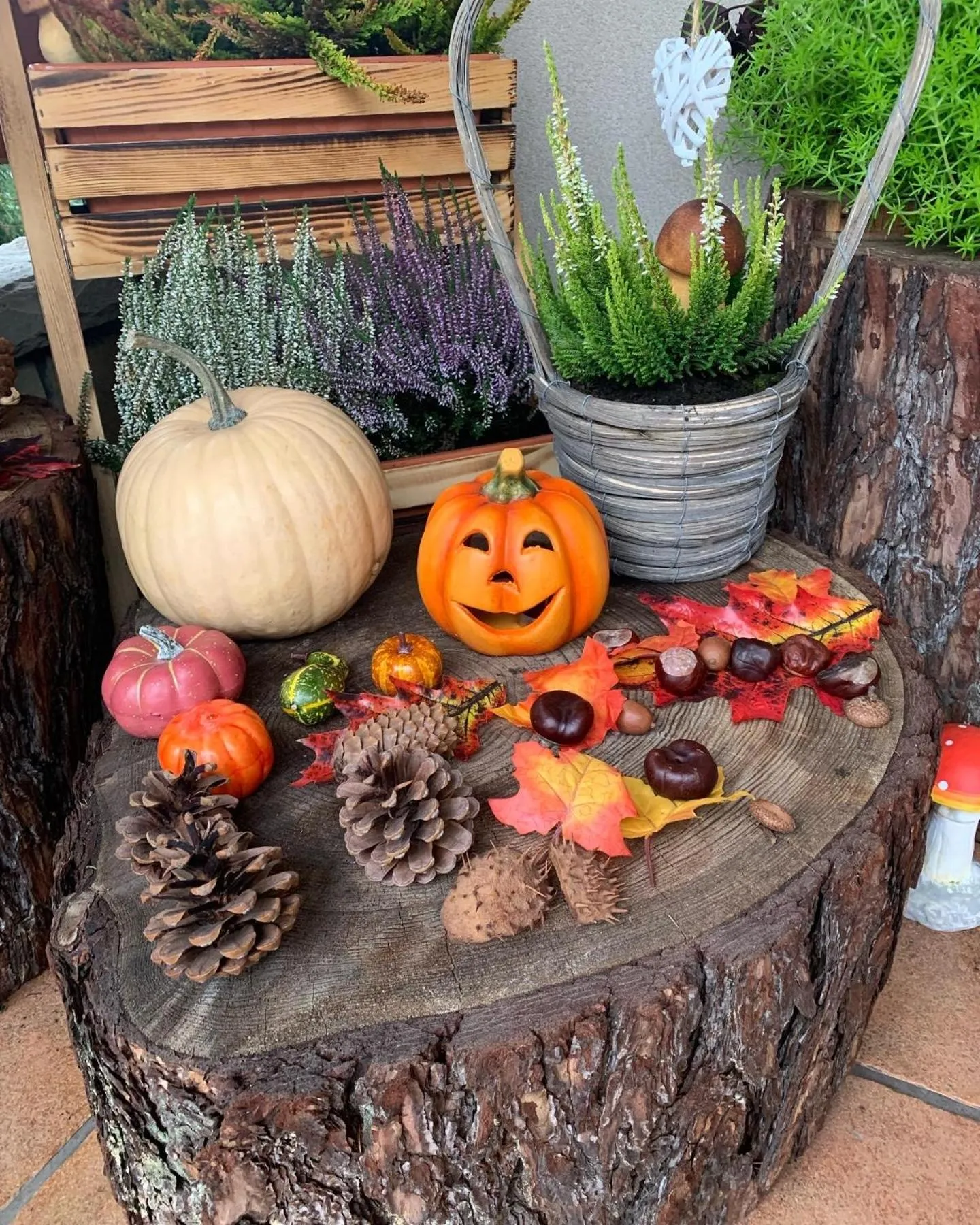 Leśny Dworek Zakopane