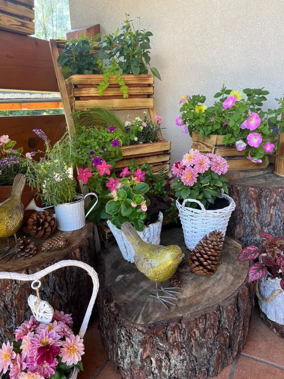 Leśny Dworek Zakopane