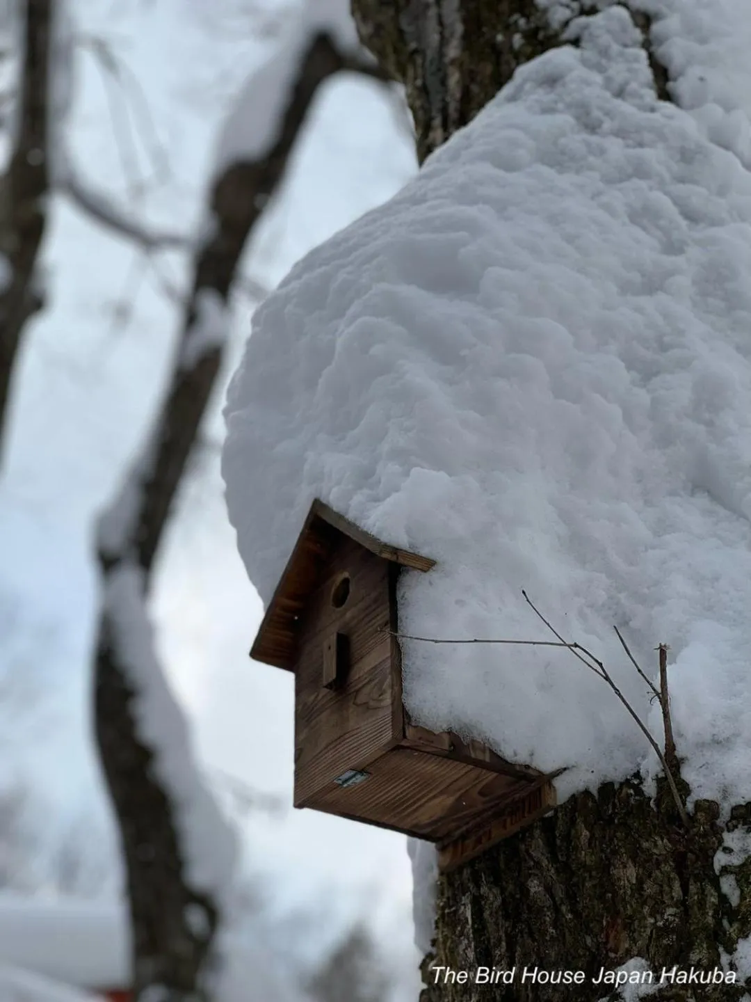 The Guest House Japan Hakuba