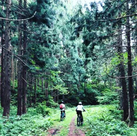 Activities in The Guest House Japan Hakuba