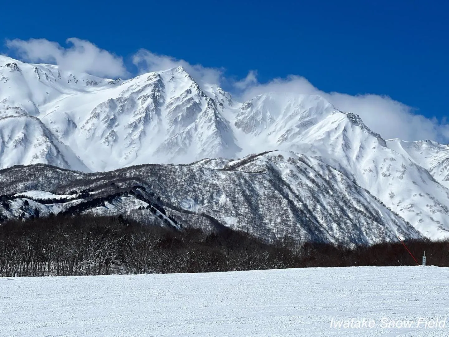 The Guest House Japan Hakuba