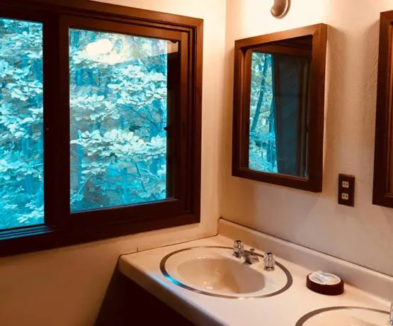 The Guest House Japan Hakuba