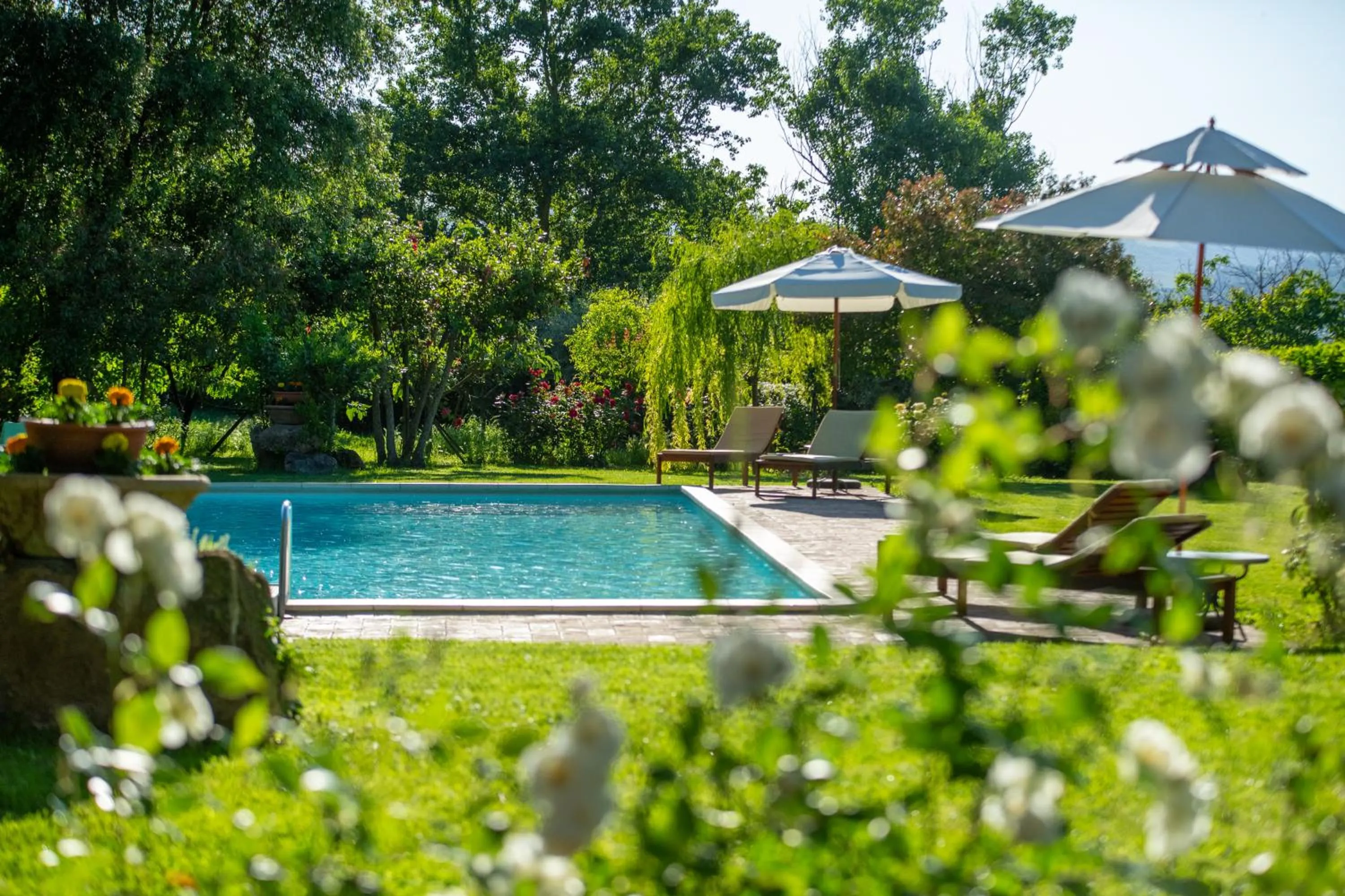 Swimming pool in Podere Sette Piagge