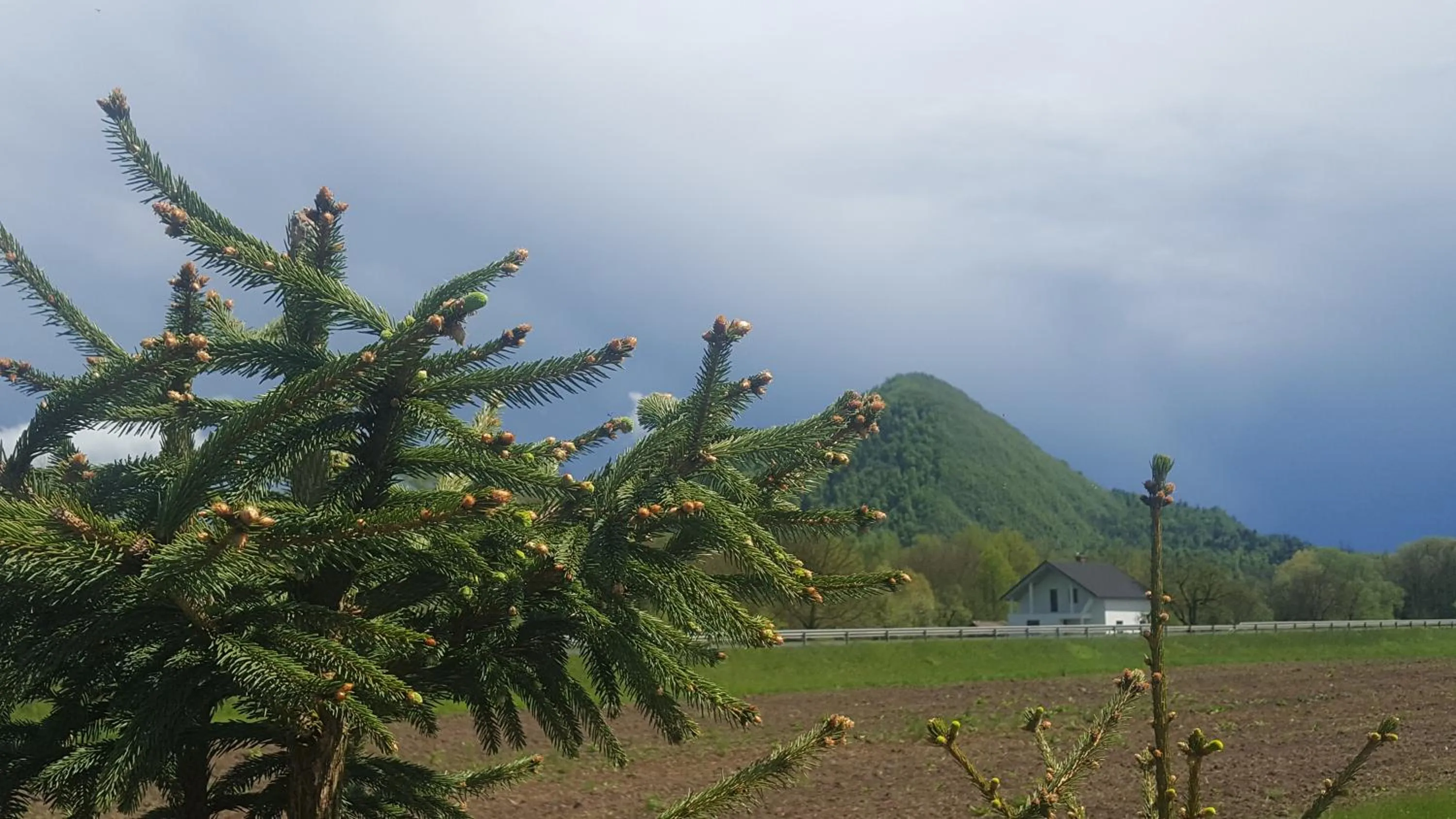 Pri Ancki B&B Ljubljana suburbs