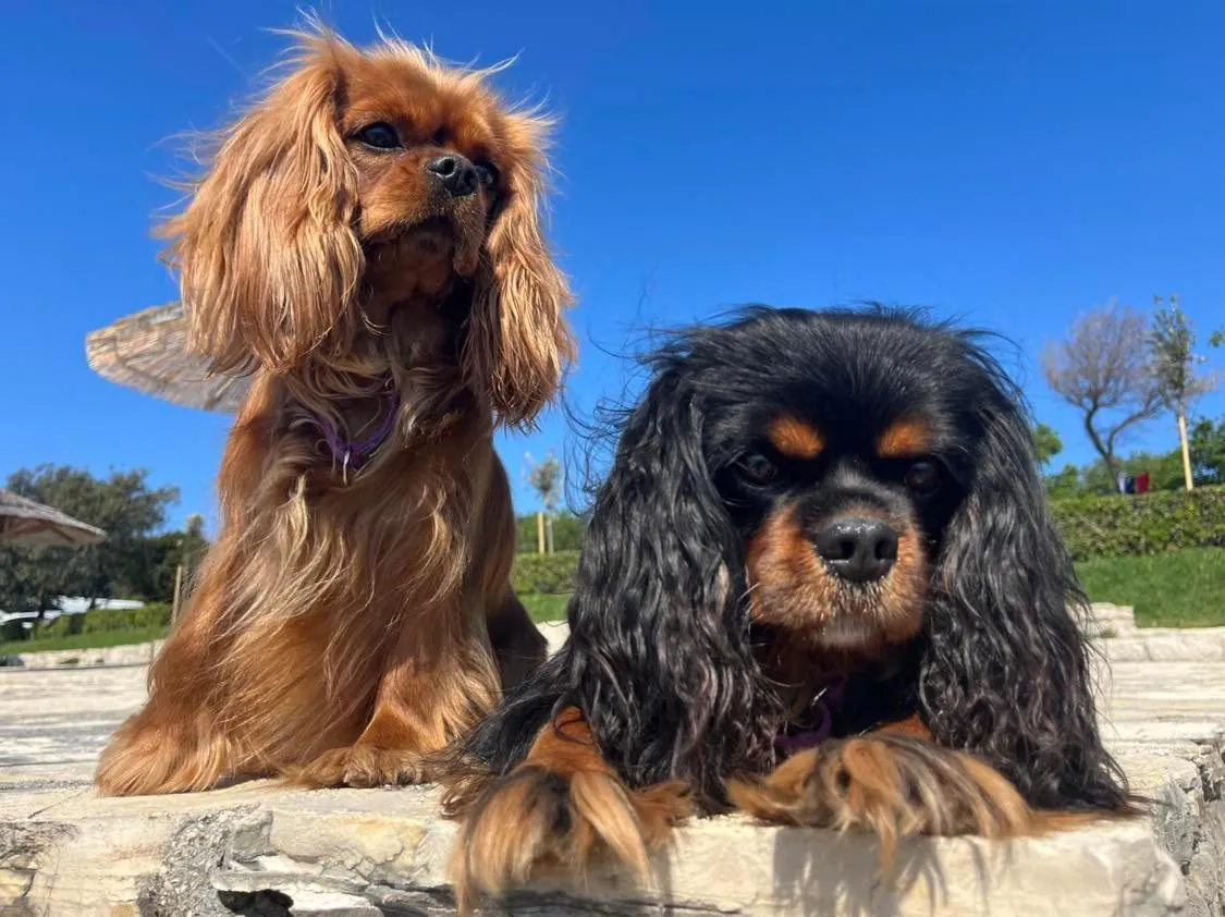 Pri Ancki B&B Ljubljana suburbs