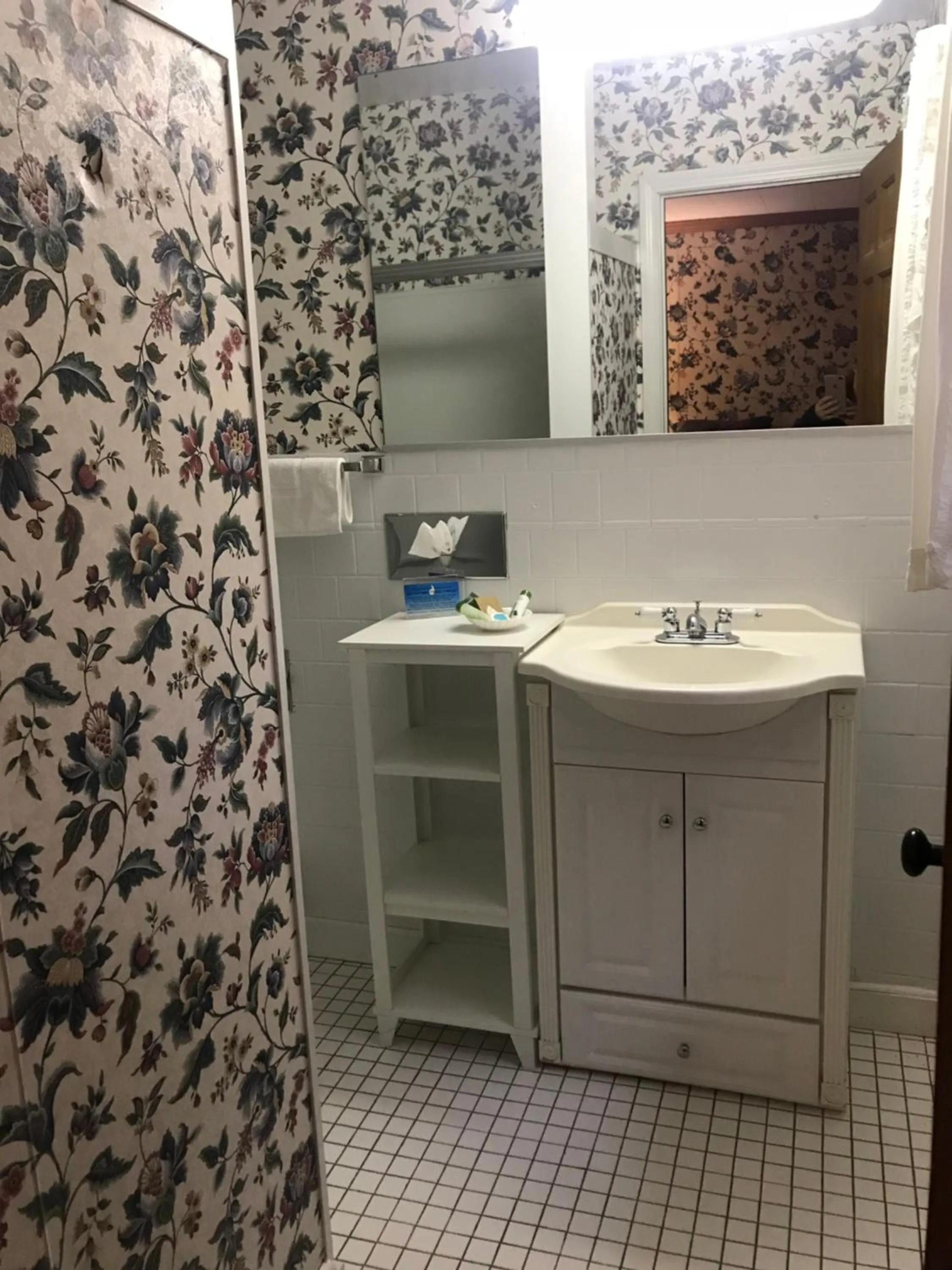 Bathroom in The 1896 House Country Inn - Brookside & Pondside