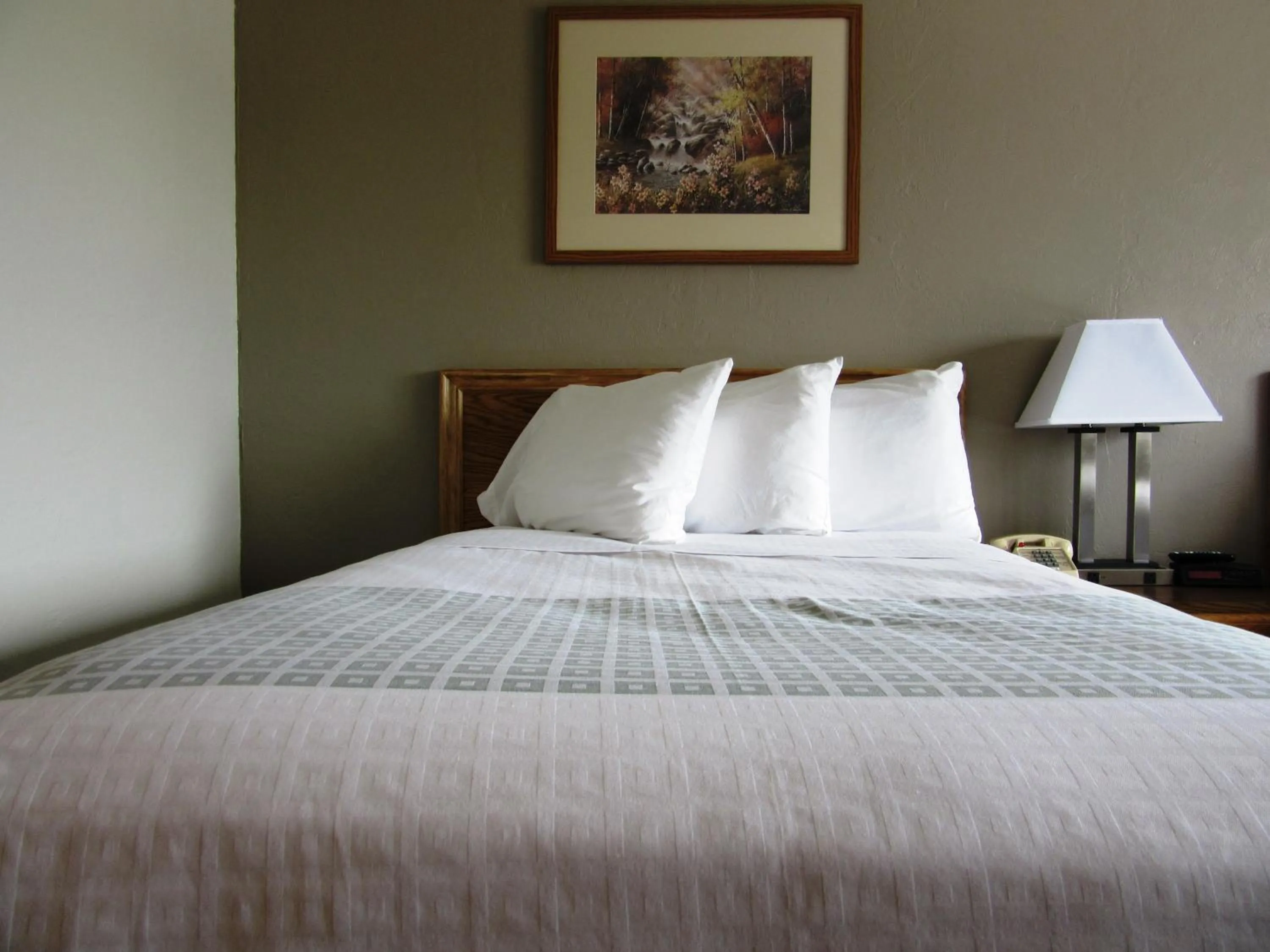 Bed in White Buffalo Hotel