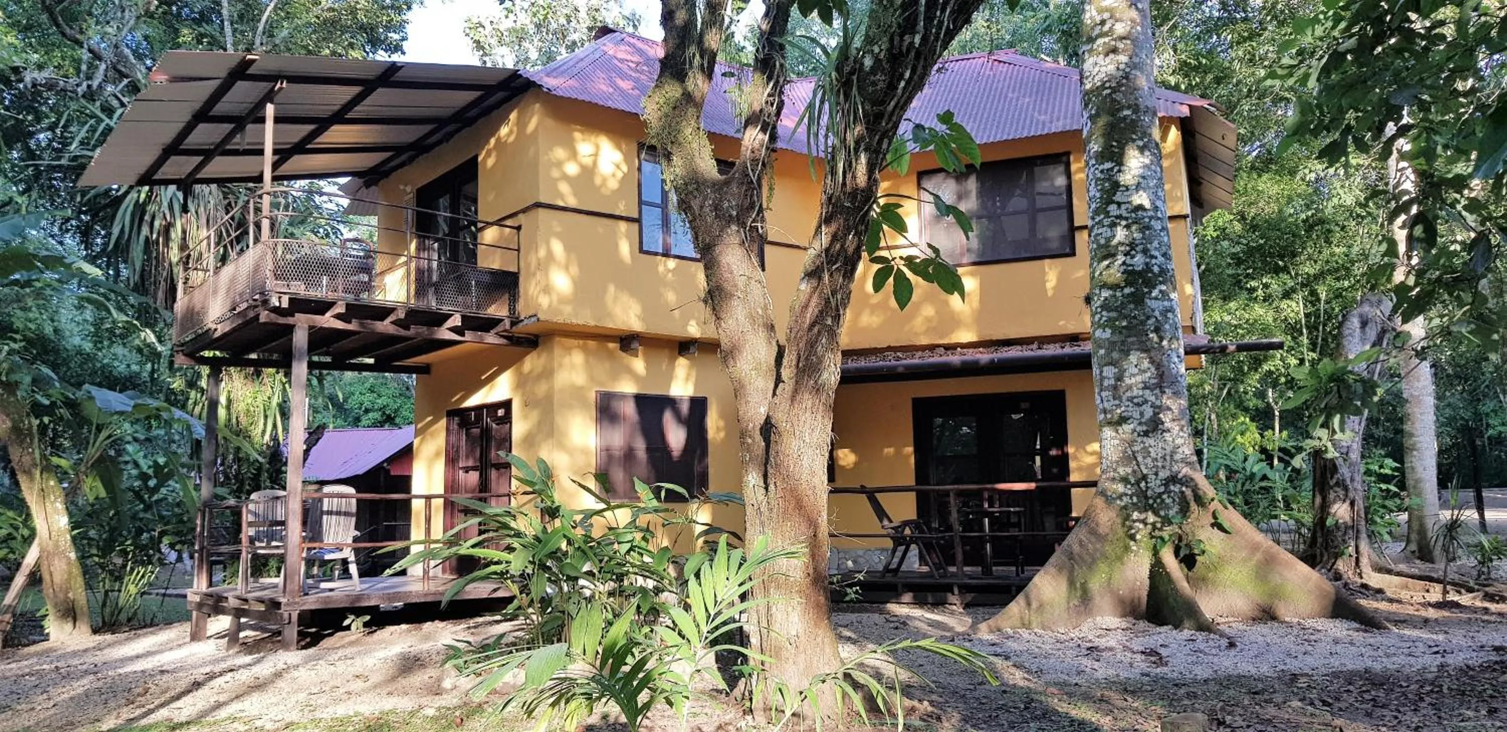 Garden in Cabañas Kin Balam Palenque