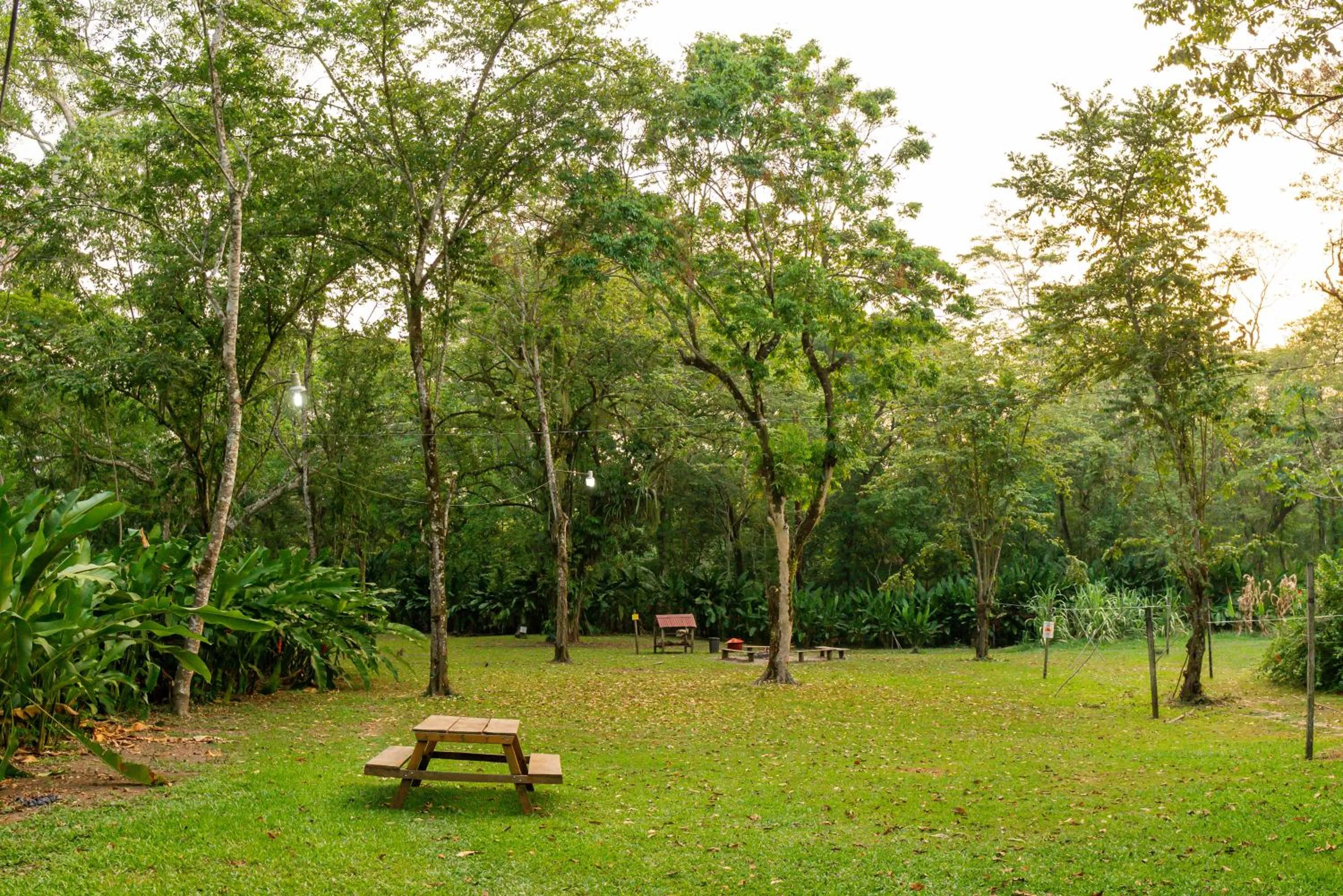Garden in Cabañas Kin Balam Palenque