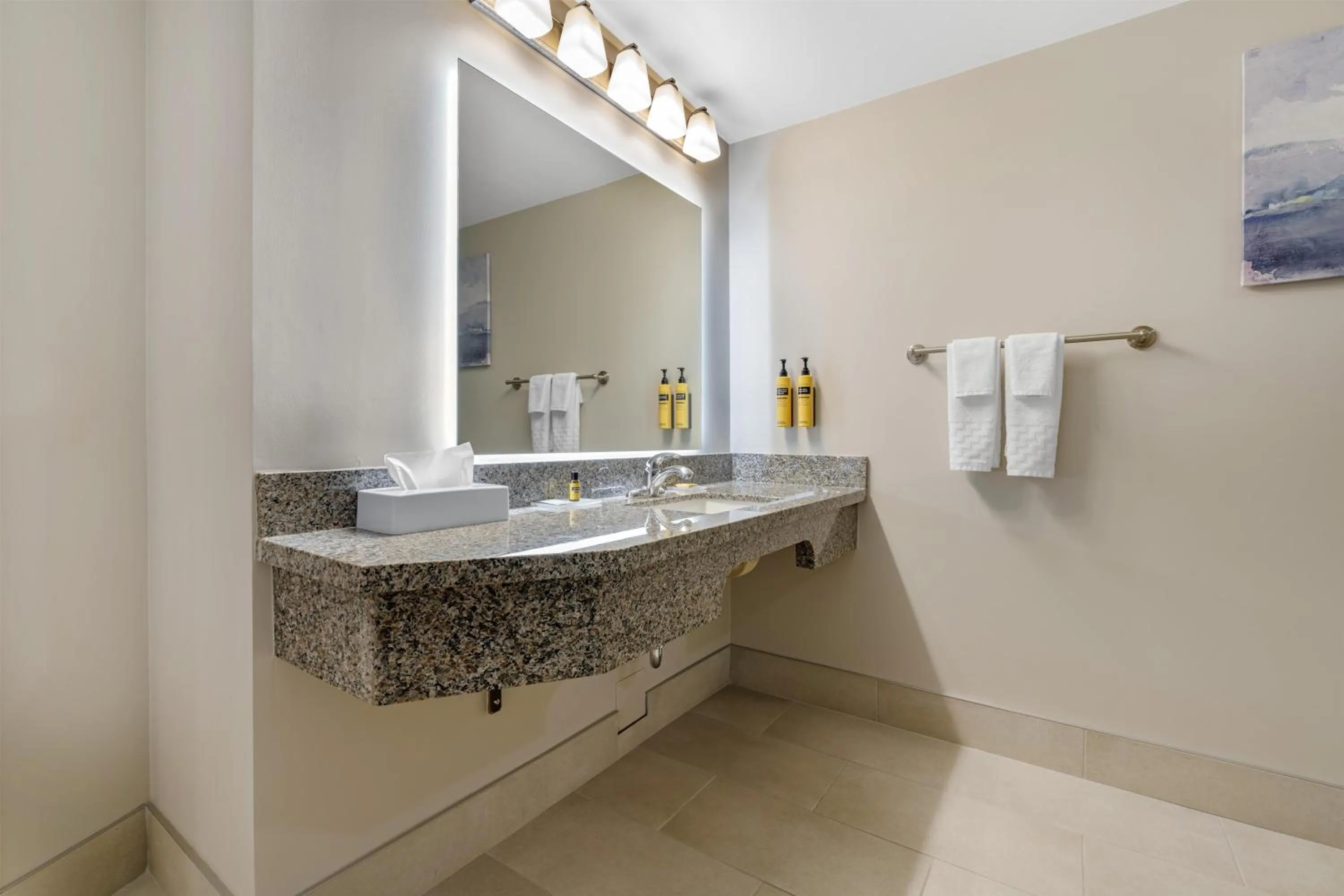 Bathroom in Best Western Plus Baker Street Inn